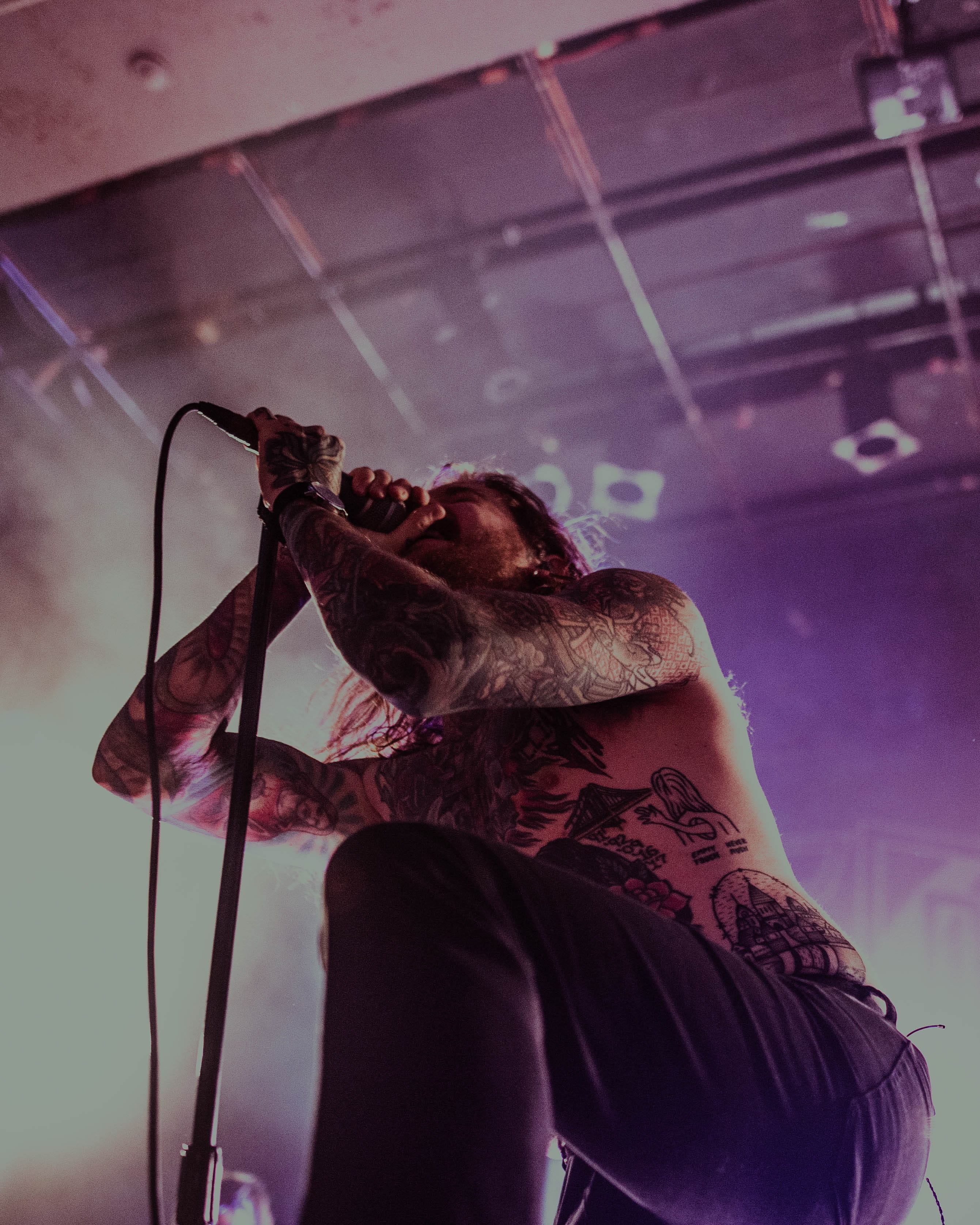 sigma, 2K, music, musician, one animal, music photography, tattoo, representation, guitar, person, one person, animal wildlife, 24mm, mammal, warped tour, Phone HD Wallpaper