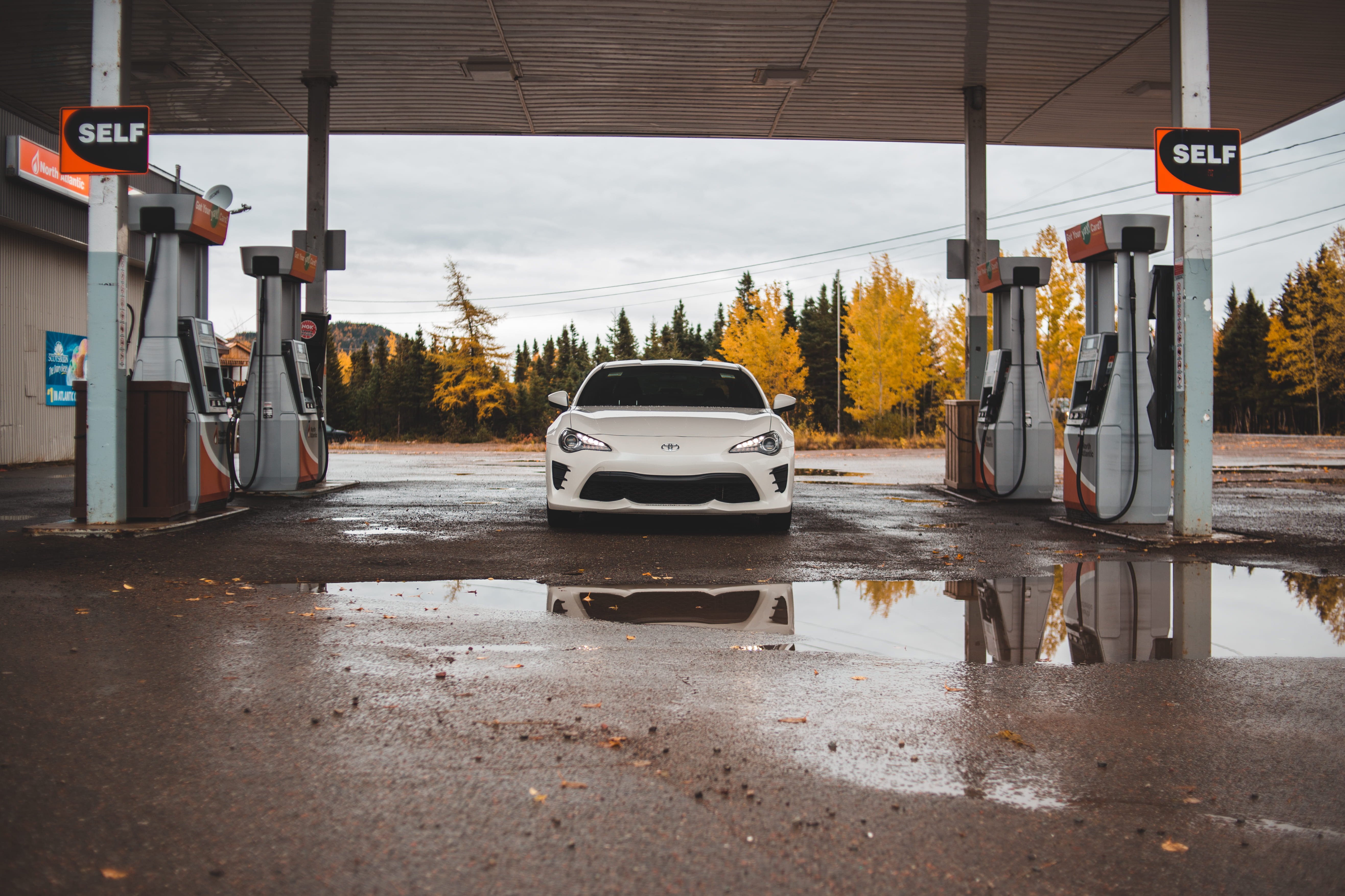 city, tree, car, wet, suv, springdale, transportation, mode of transportation, sedan, sign, road, canada, nature, rain, sports car, puddle, motor vehicle, HD Wallpaper