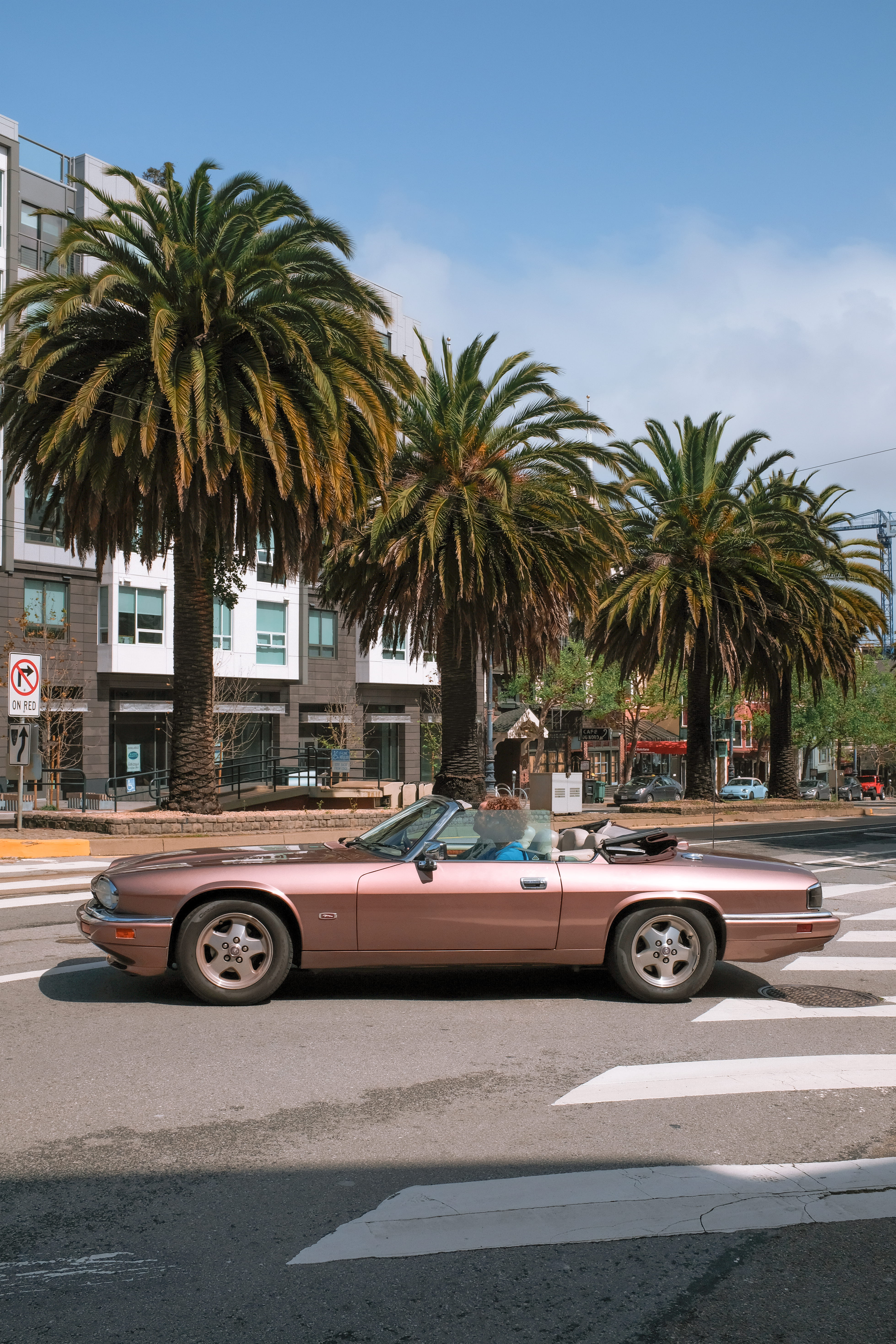 arecaceae, street, built structure, building exterior, architecture, summer, flora, car, day, mode of transportation, united states, near, land vehicle, Phone HD Wallpaper