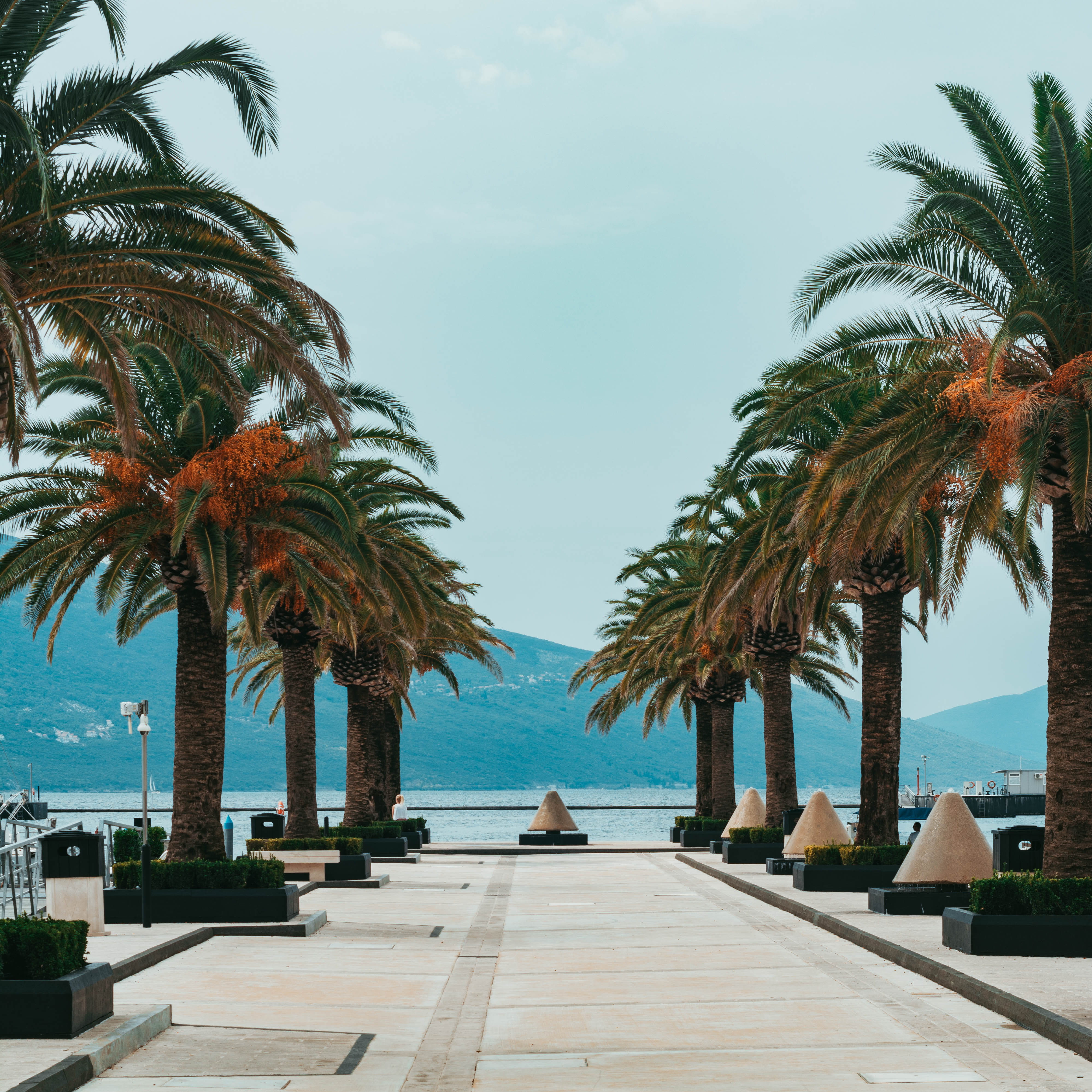 leisure activities, montenegro, travel, palm tree, 4K, trees, plant, water, fern, footpath, tropical climate, vibes, tivat, horizon over water, tivat bay, Phone HD Wallpaper