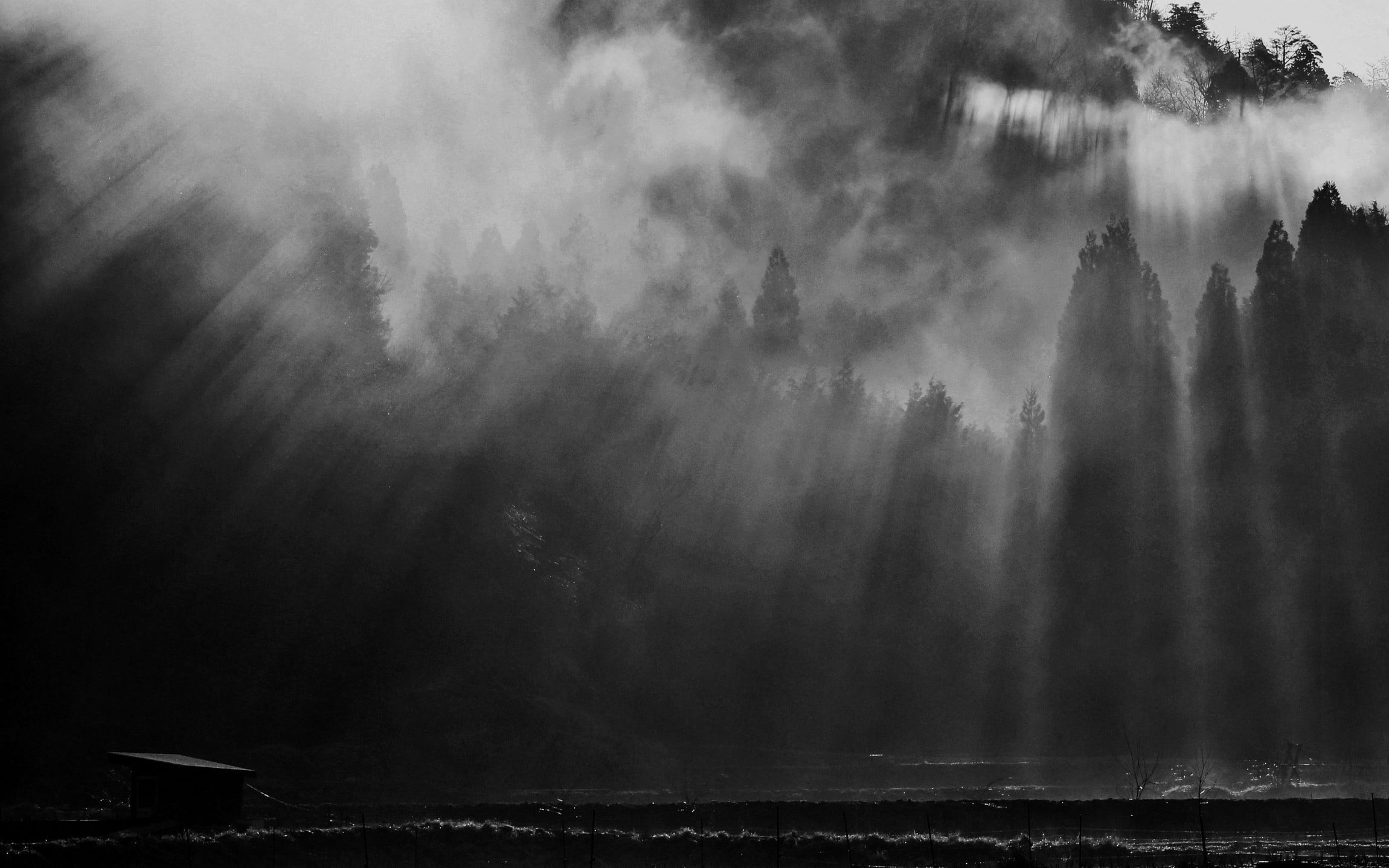 sunlight, environment, mist, hills, beauty in nature, tree, morning, fence, 1080P, monochrome, water, no people, day, nature, sun rays, motion, tranquility, HD Wallpaper