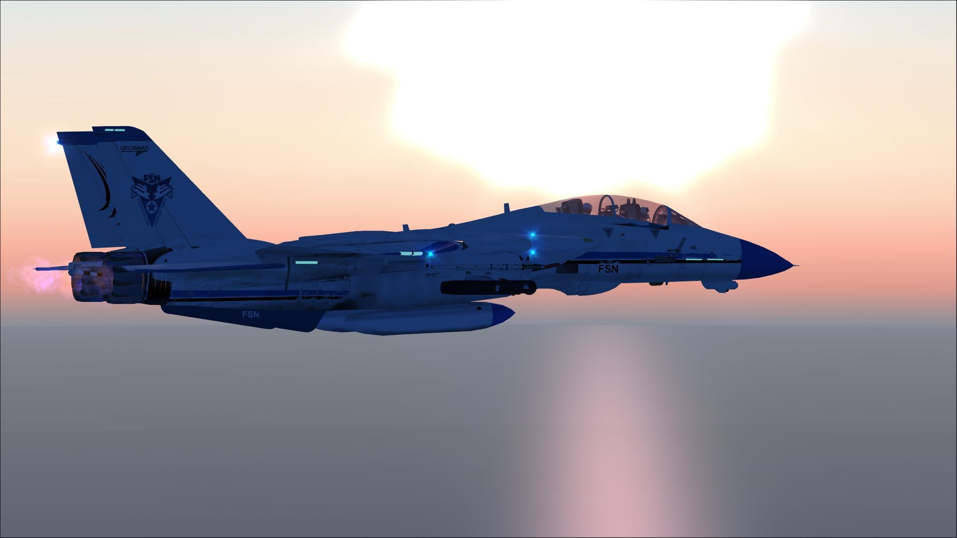 tomcat, 1080P, aircraft planes, tee, HD Wallpaper
