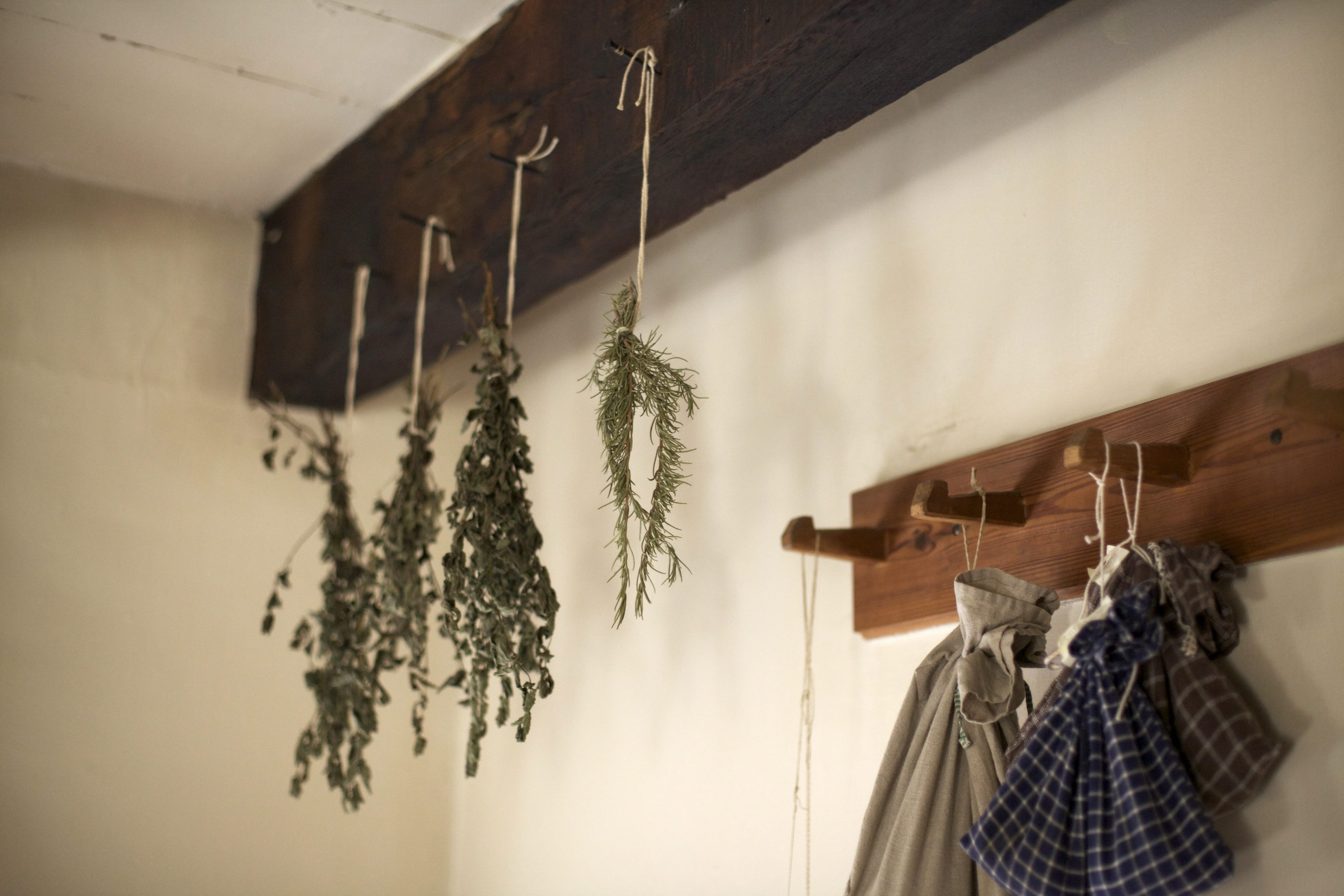 traditional, food, seasoning, absence, green, coat hook, wall, indoors, plant, medicine, ingredient, decoration, organic, wall - building feature, large group of objects, HD Wallpaper
