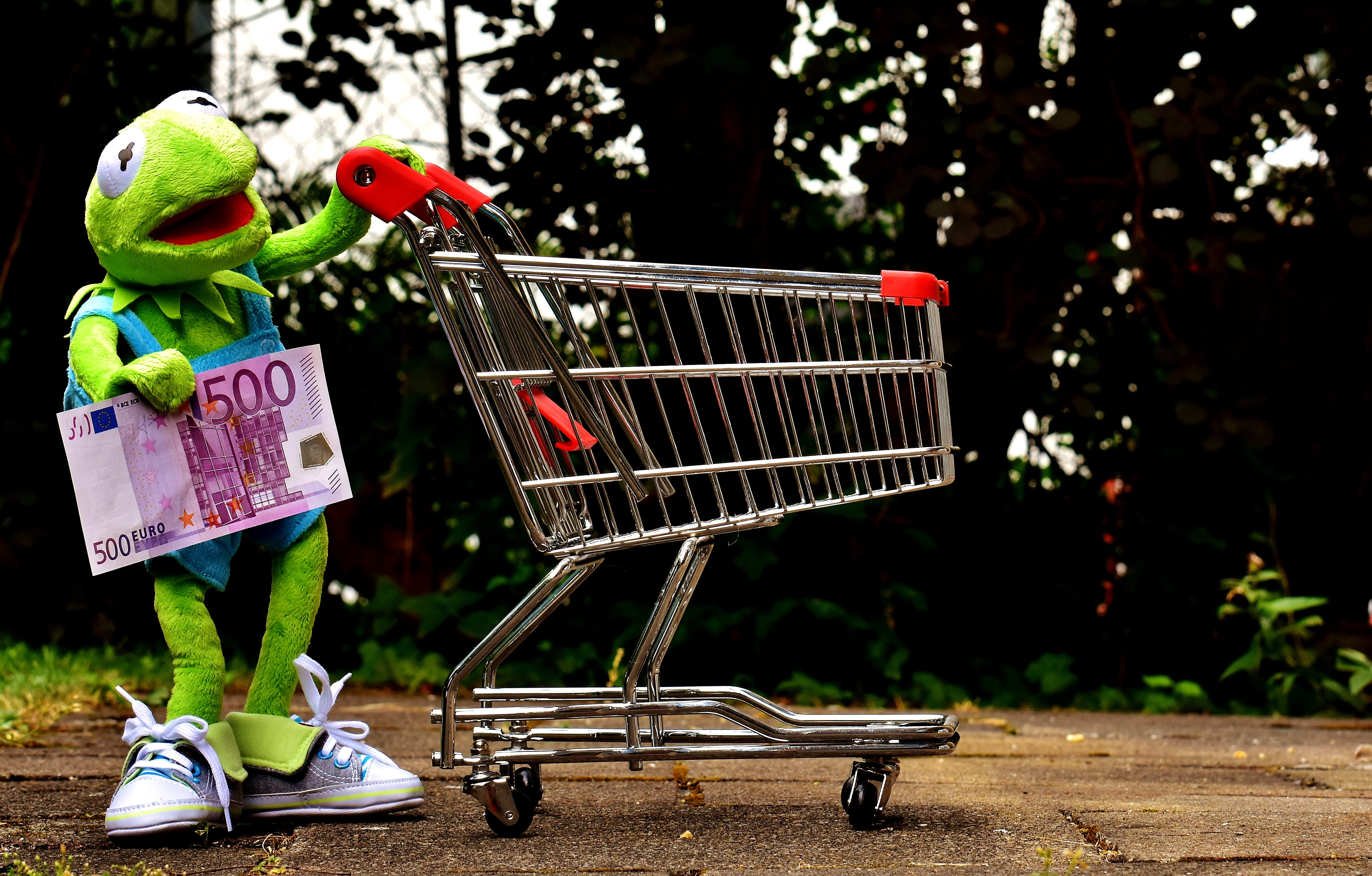 footpath, full length, money, child, kermet, funny, Frog, retail, focus on foreground, toy, store, day, plant, consumerism, fun, cart, representation, supermarket, HD Wallpaper
