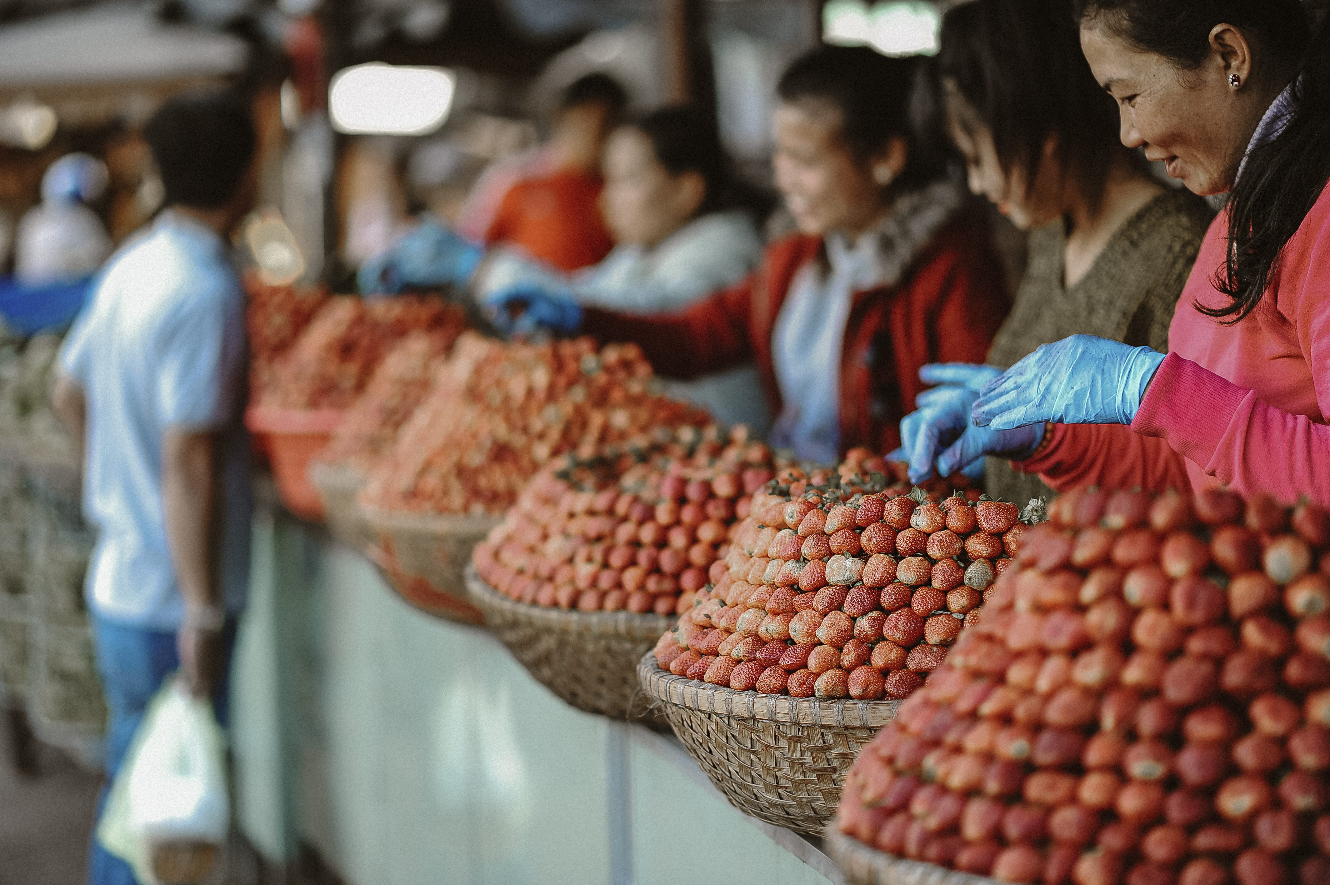 market, shopping, adults, abundance, daylight, women, choice, marketplace, business, ripe, fruits, stall, gloves, people, fruit, container, food and drink, HD Wallpaper