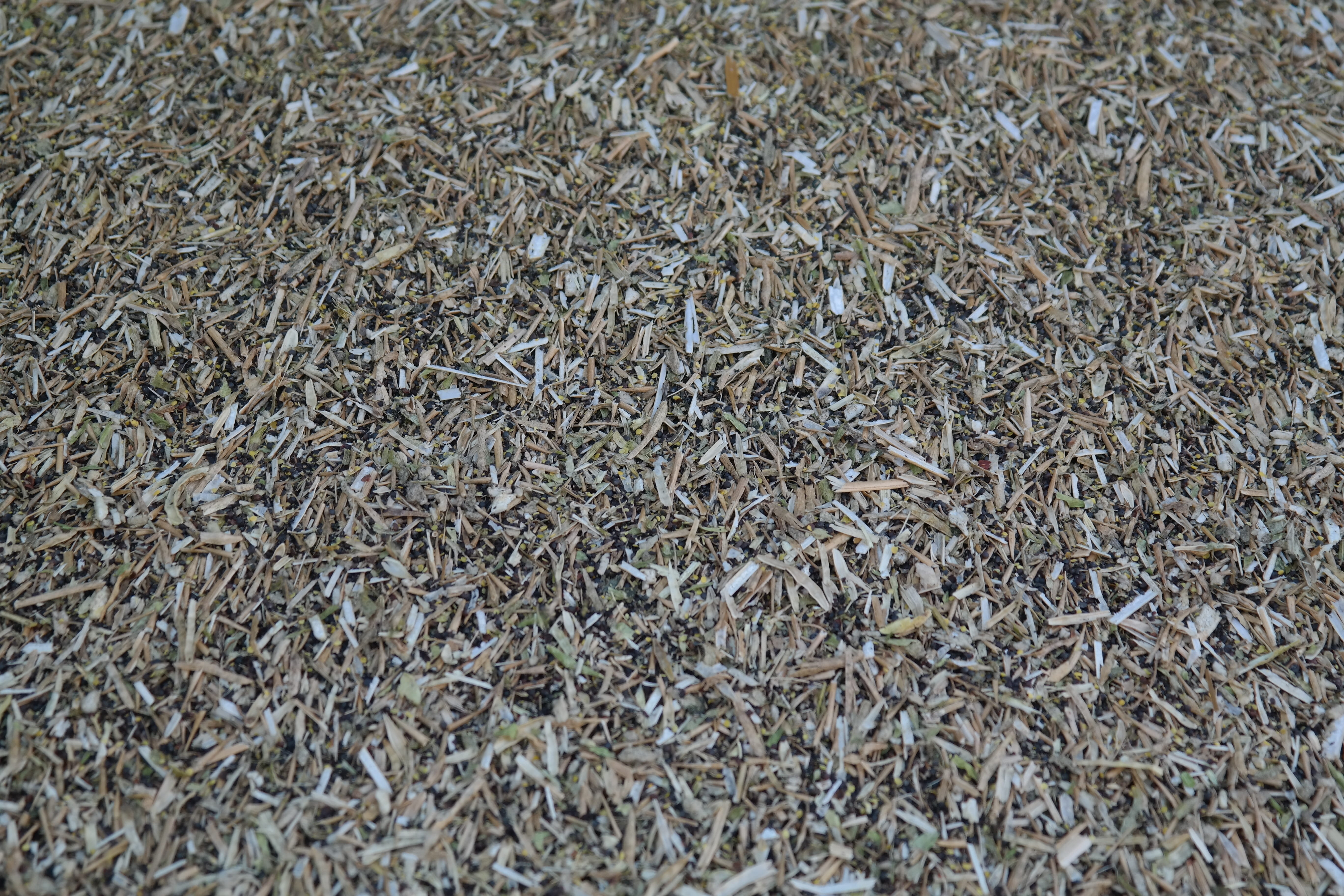 textured, cereal plant, grain sleeves, land, threshing waste, nature, field, grain, shavings, large group of objects, Chaff, roughage, grain covers, abundance, HD Wallpaper
