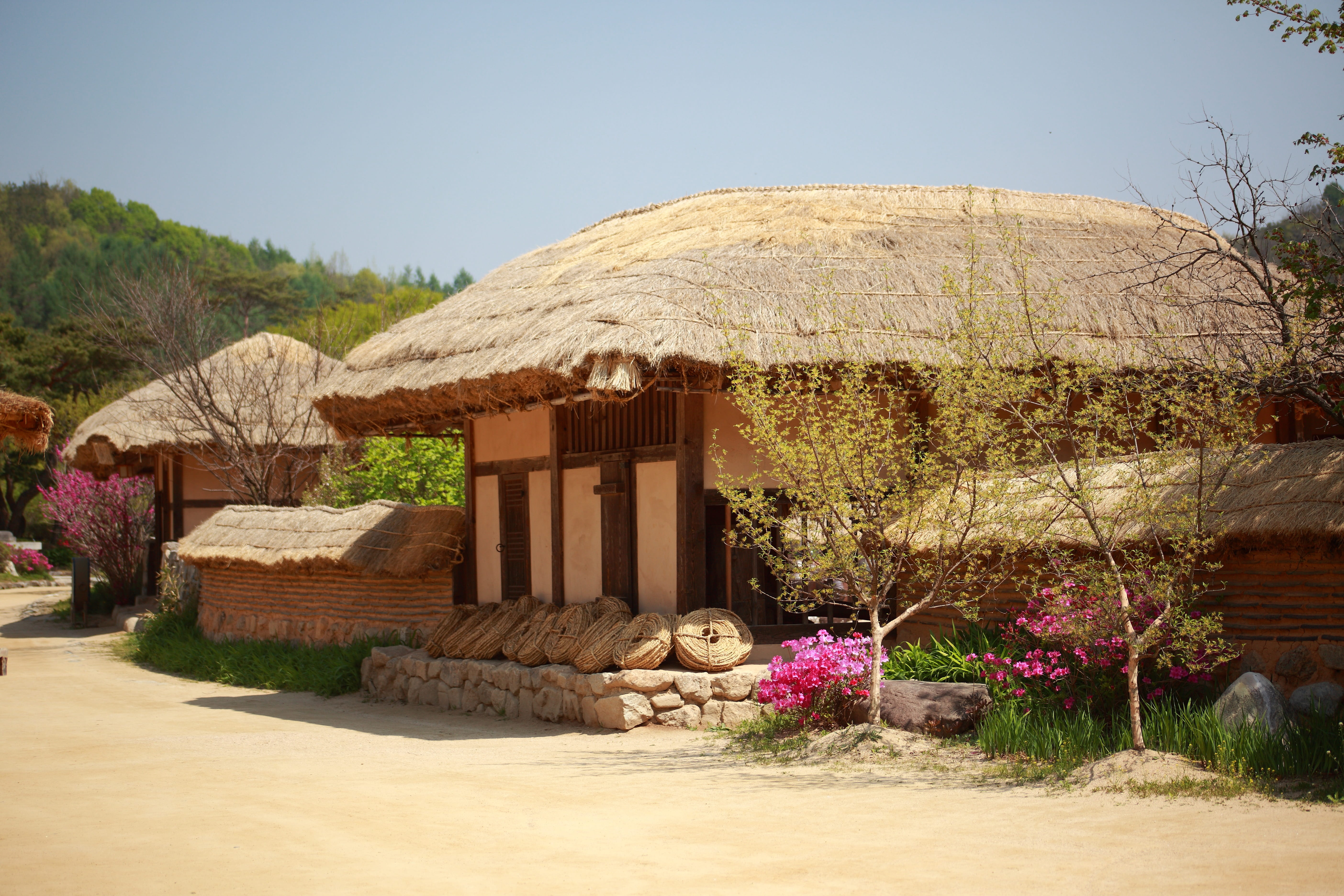 5K, built structure, nature, cottage, building, building exterior, traditional houses, roof, hut, resort, house, plant, facade, solid, tree, day, outdoors, HD Wallpaper