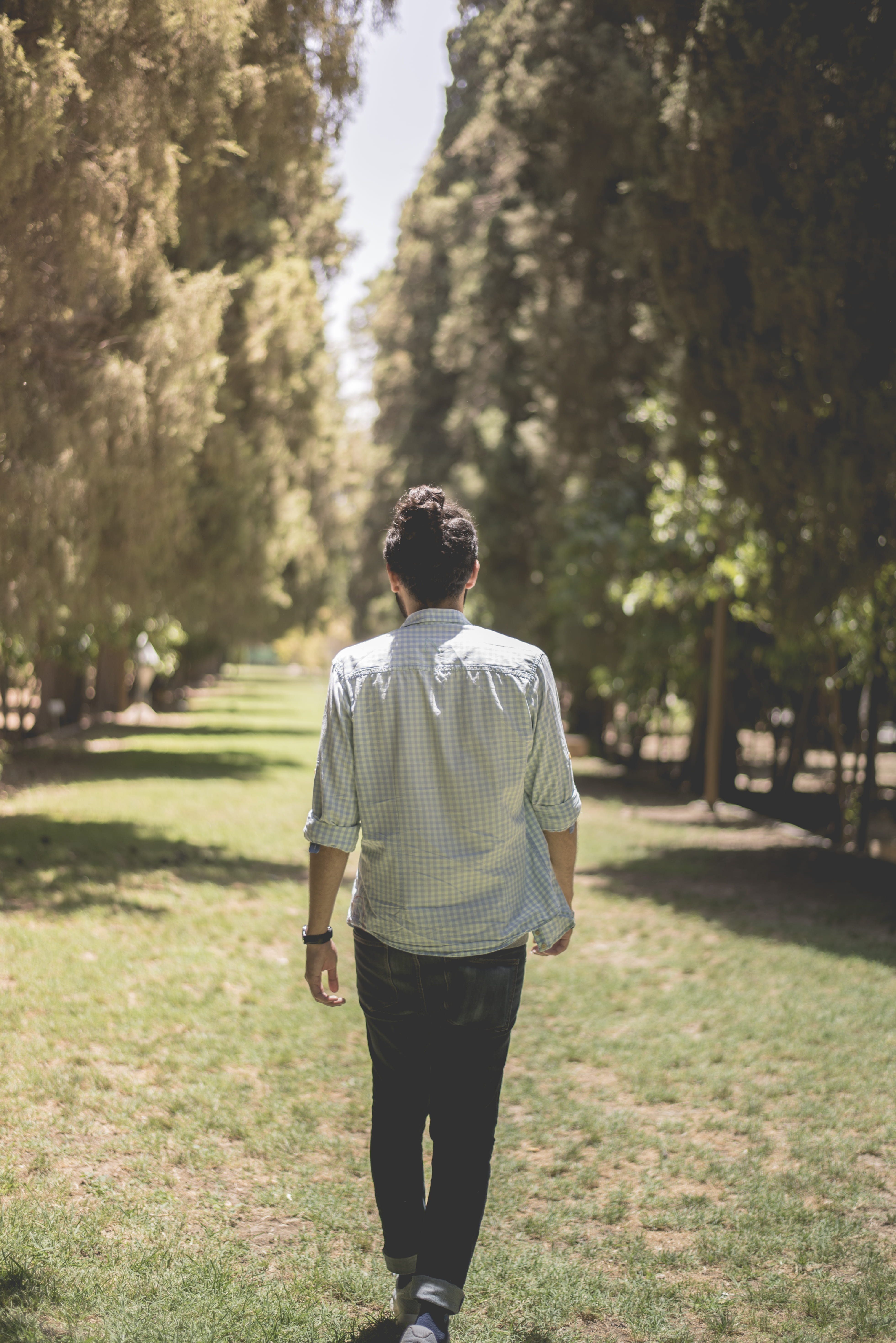 lifestyles, one person, 5K, walking, day, iran, casual clothing, land, grass, leisure activity, afifabad garden, walk, outdoors, real people, path, focus on foreground, Phone HD Wallpaper