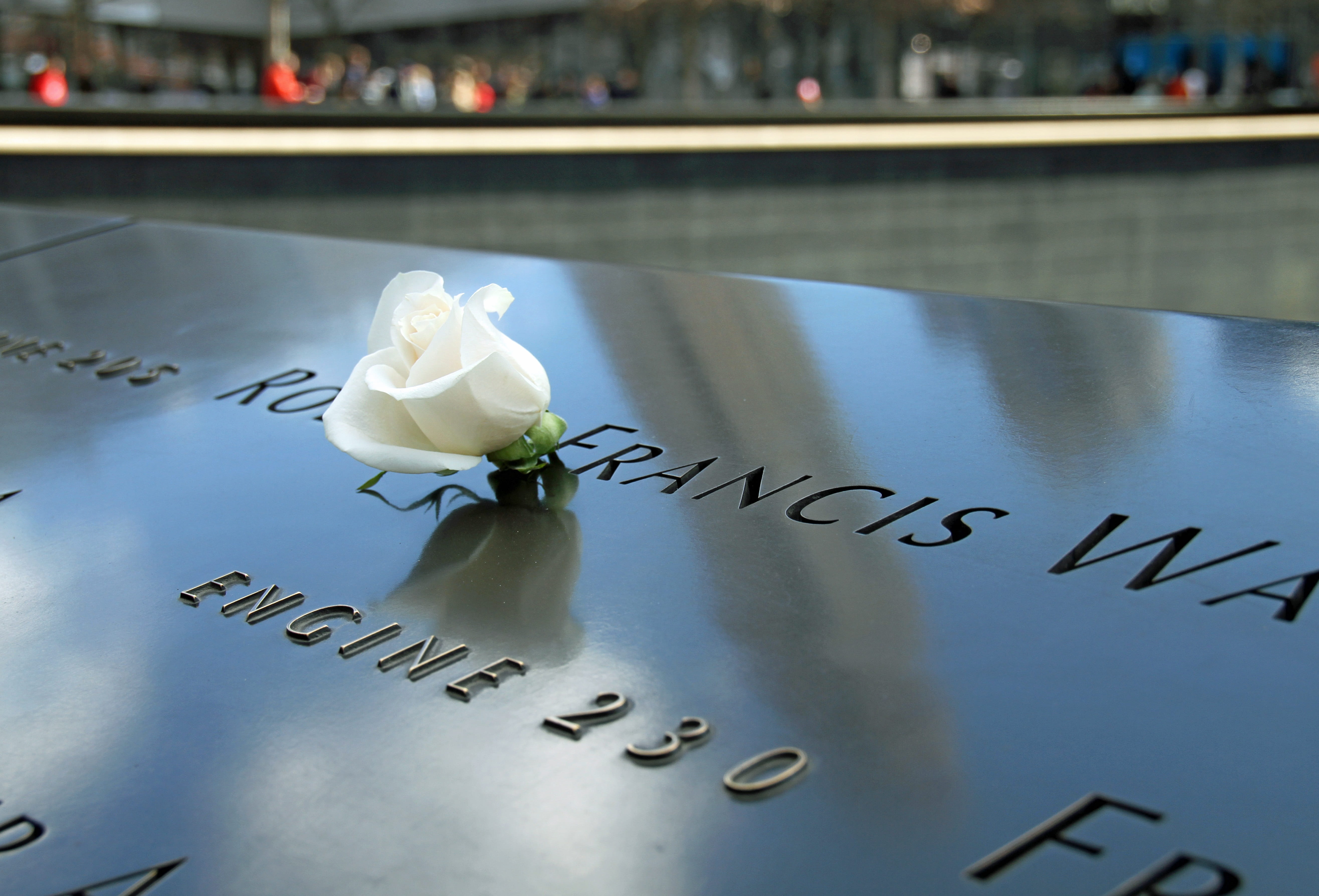 no people, 911, Memorial, indoors, western script, high angle view, Ground, flowering plant, communication, close-up, freshness, rose, Manhattan, Ground Zero, HD Wallpaper