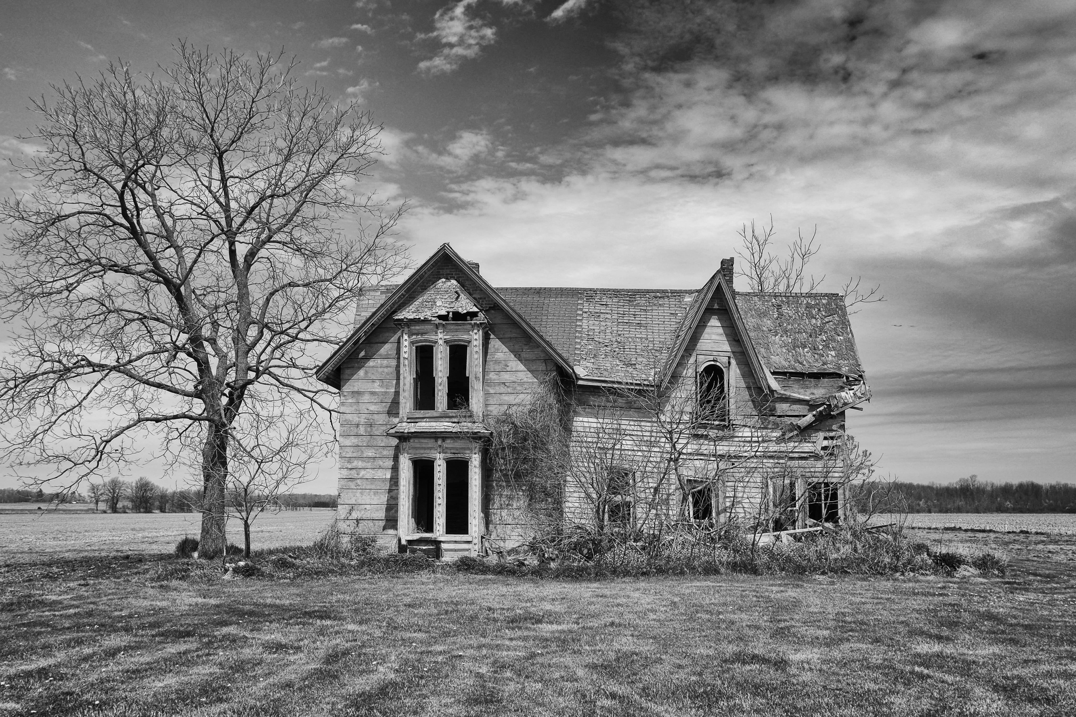 building exterior, field, sky, no people, land, grass, built structure, 4K, architecture, nature, house, canada, abandoned, cloud - sky, landscape, bare tree, HD Wallpaper