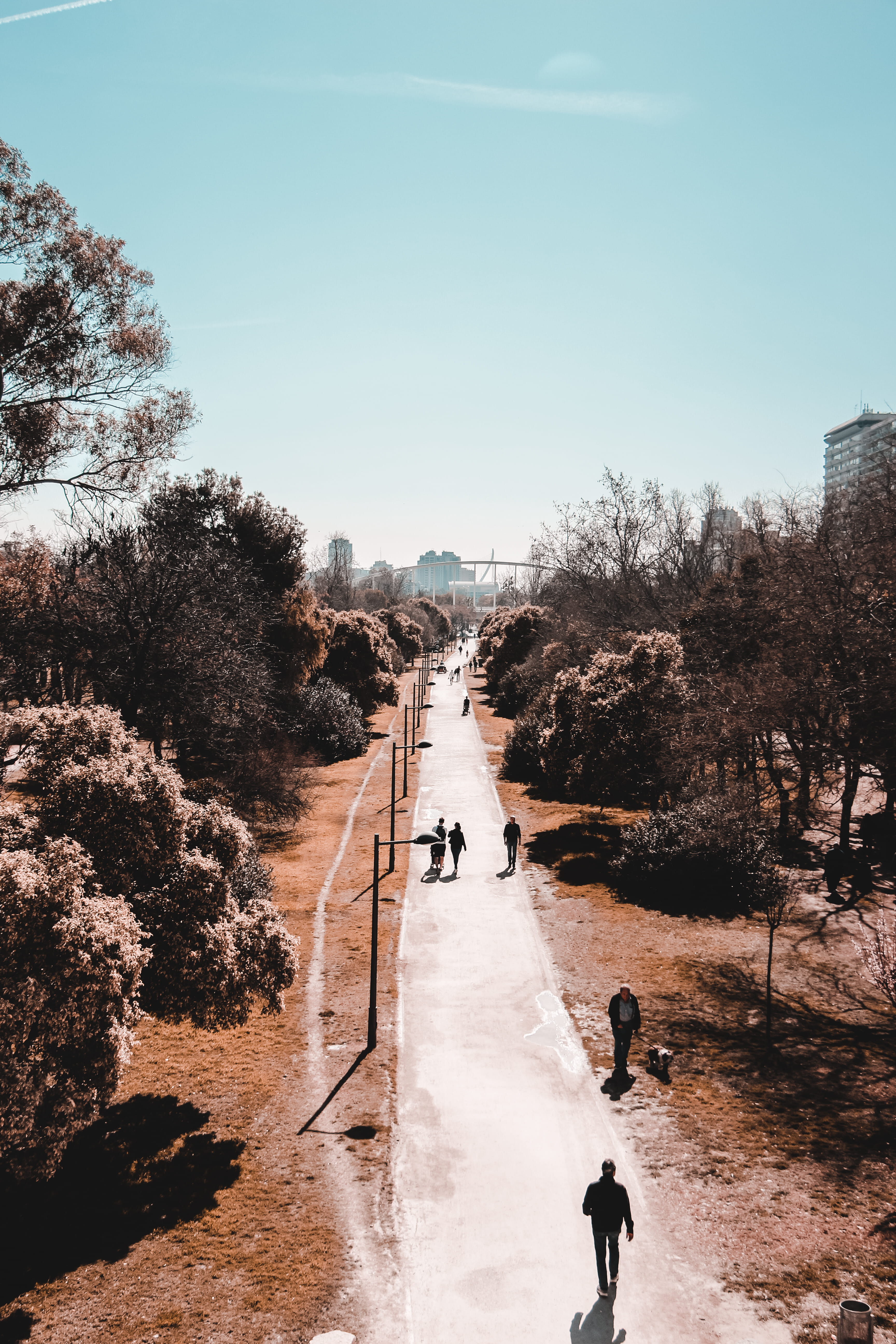 building, men, leisure activity, fir, outdoors, asphalt, woodland, architecture, sunlight, angle, sky, town, walking, road, rear view, city, incidental people, Phone HD Wallpaper