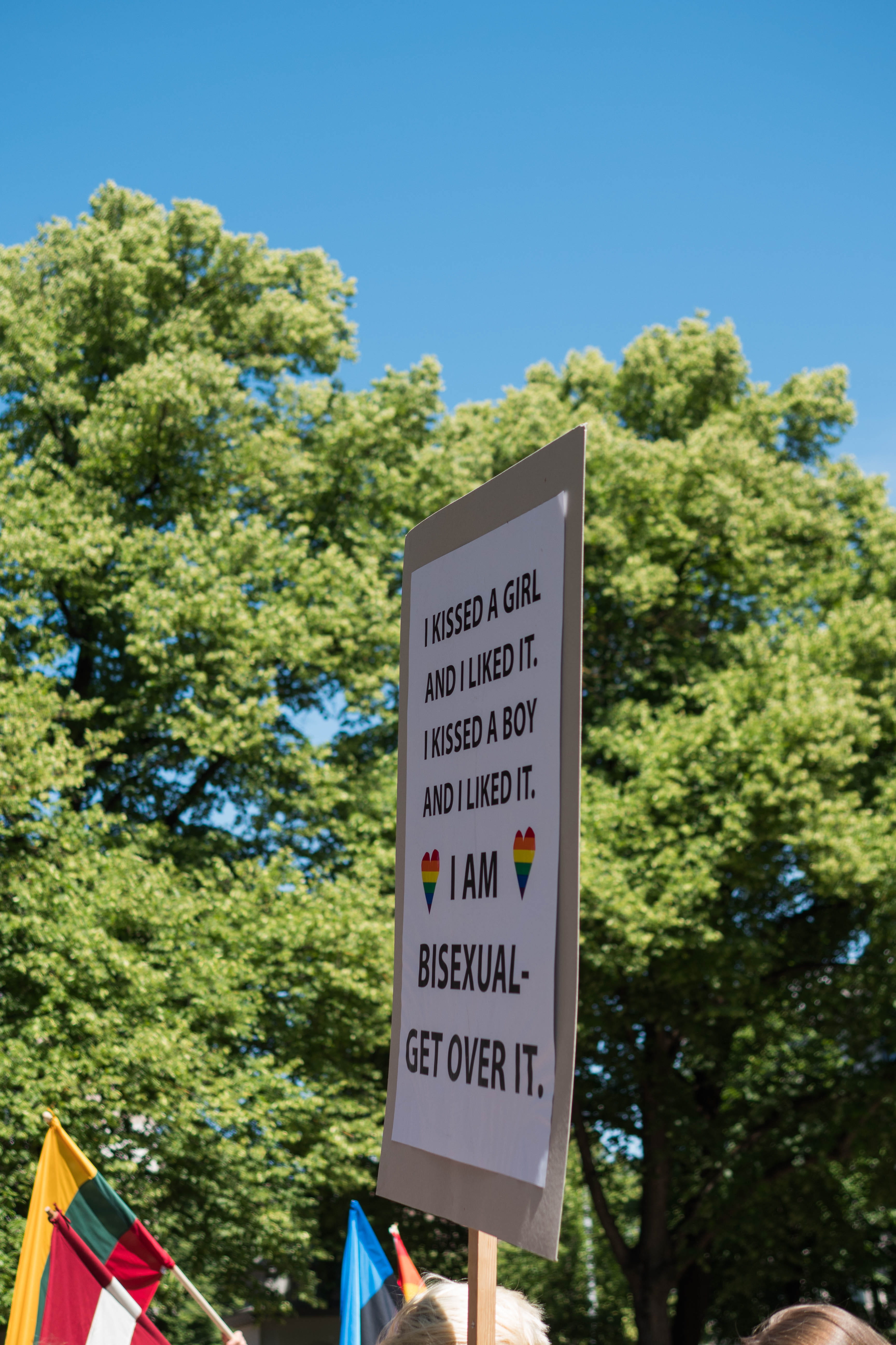 no people, message, green color, warning sign, riga, grove, vegetation, forest, outdoors, growth, day, street sign, 5K, script, nature, text, low angle view, Phone HD Wallpaper