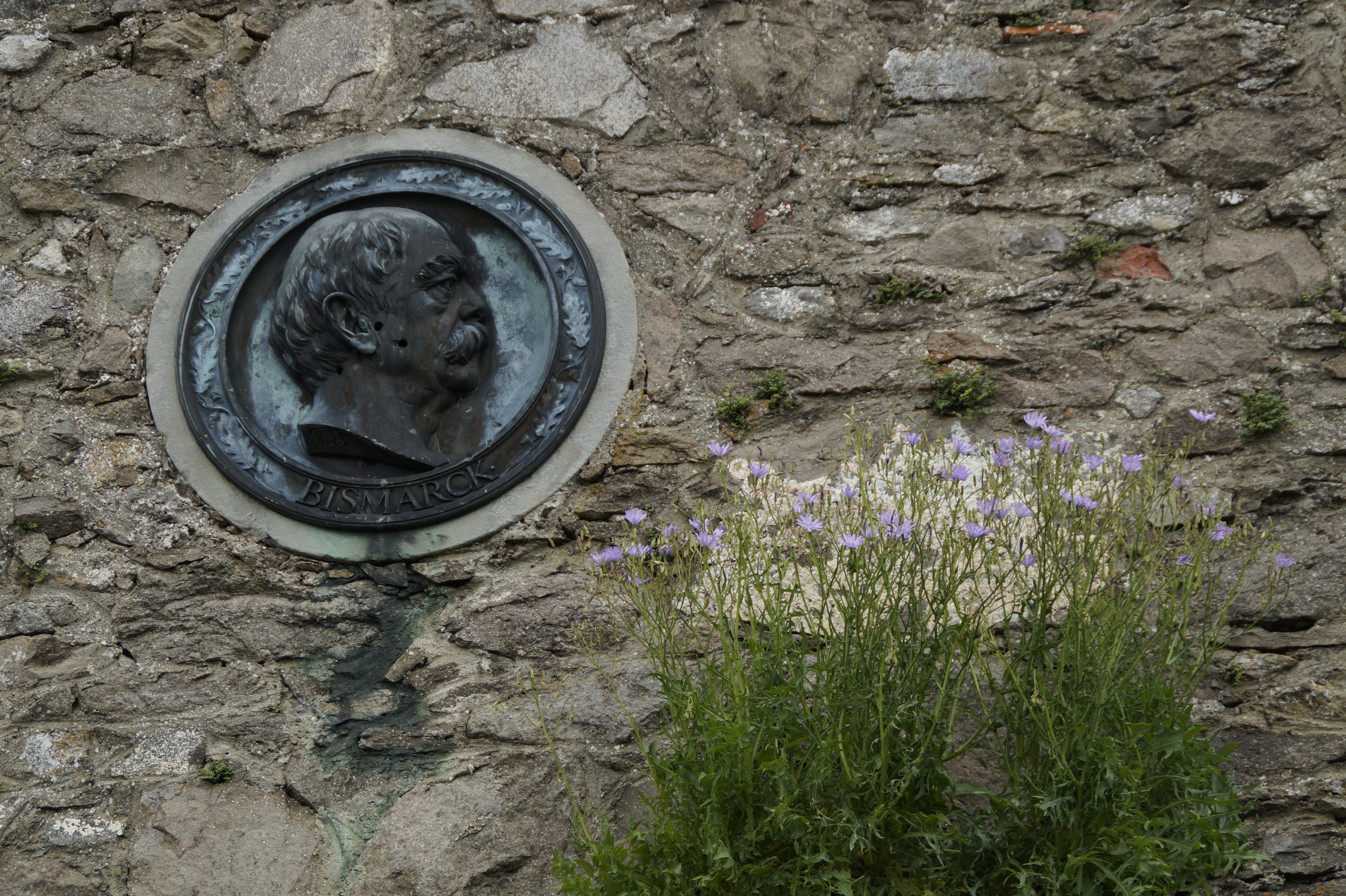 freshness, personality, outdoors, fragility, field, close-up, memorial plaque, circle, nature, castle, art and craft, person, politician, profile, board, HD Wallpaper