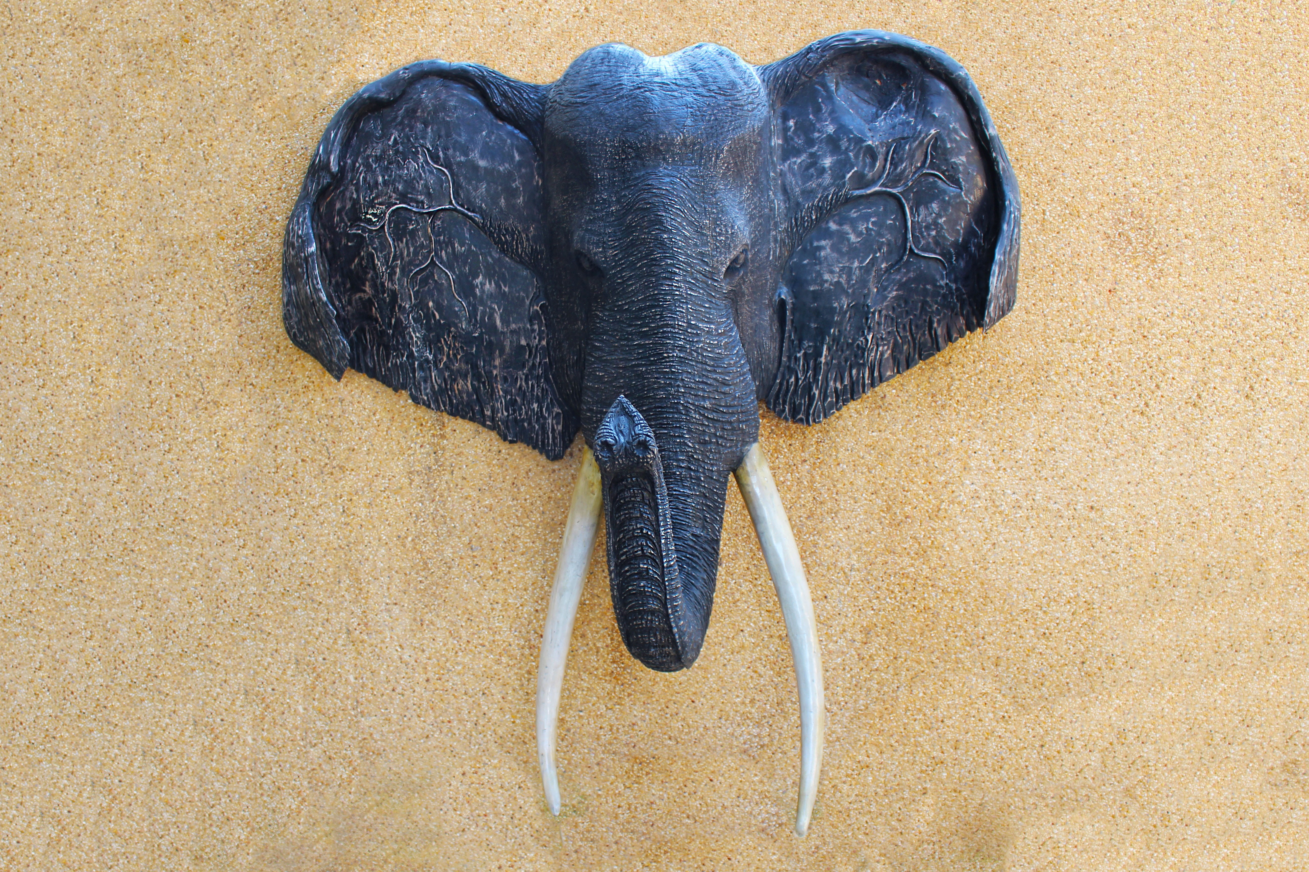 sculpture, face, animal head, animal body part, mammal, studio shot, elephant head, still life, colored background, single object, craft, black color, high angle view, HD Wallpaper