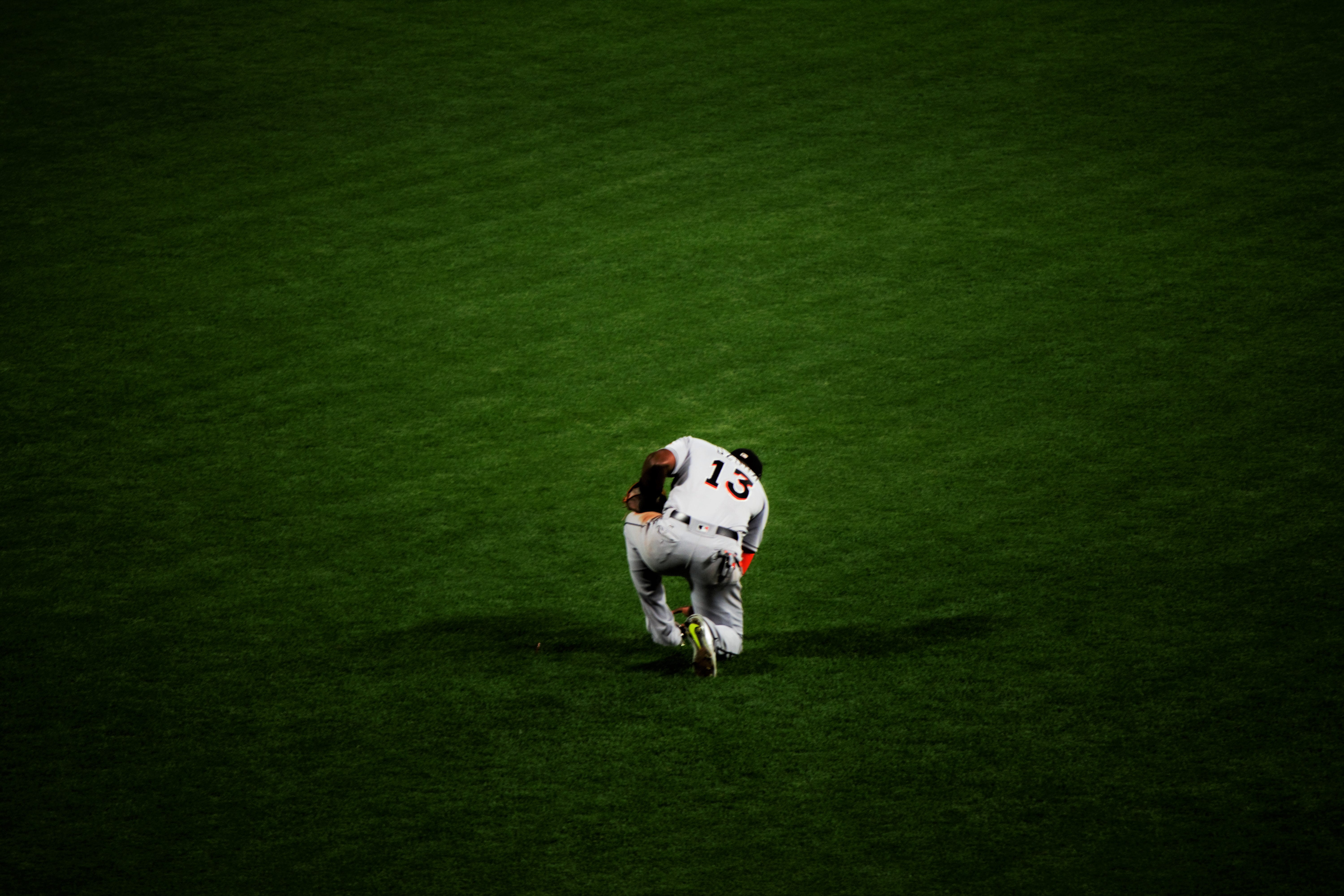 high angle view, luck, player, white color, belt, baseball, green, pray, animal themes, lights, canine, mitt, shadows, mammal, night, pets, stadium, dog, HD Wallpaper