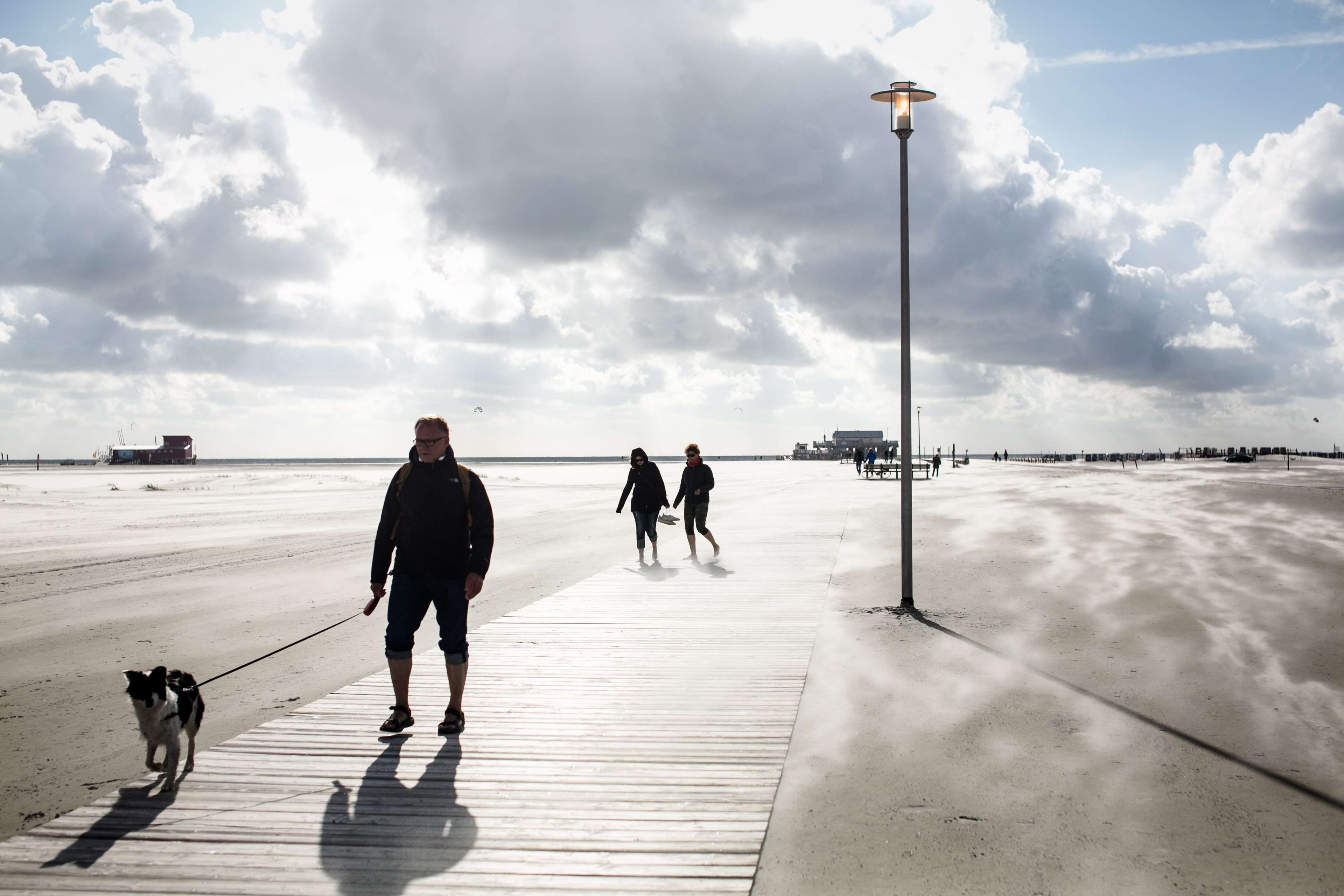 pets, rear view, gegenlicht, cloud - sky, men, wolken, real people, canine, people, nature, day, water, 4K, sonne, nordsee, sky, incidental people, lifestyles, HD Wallpaper