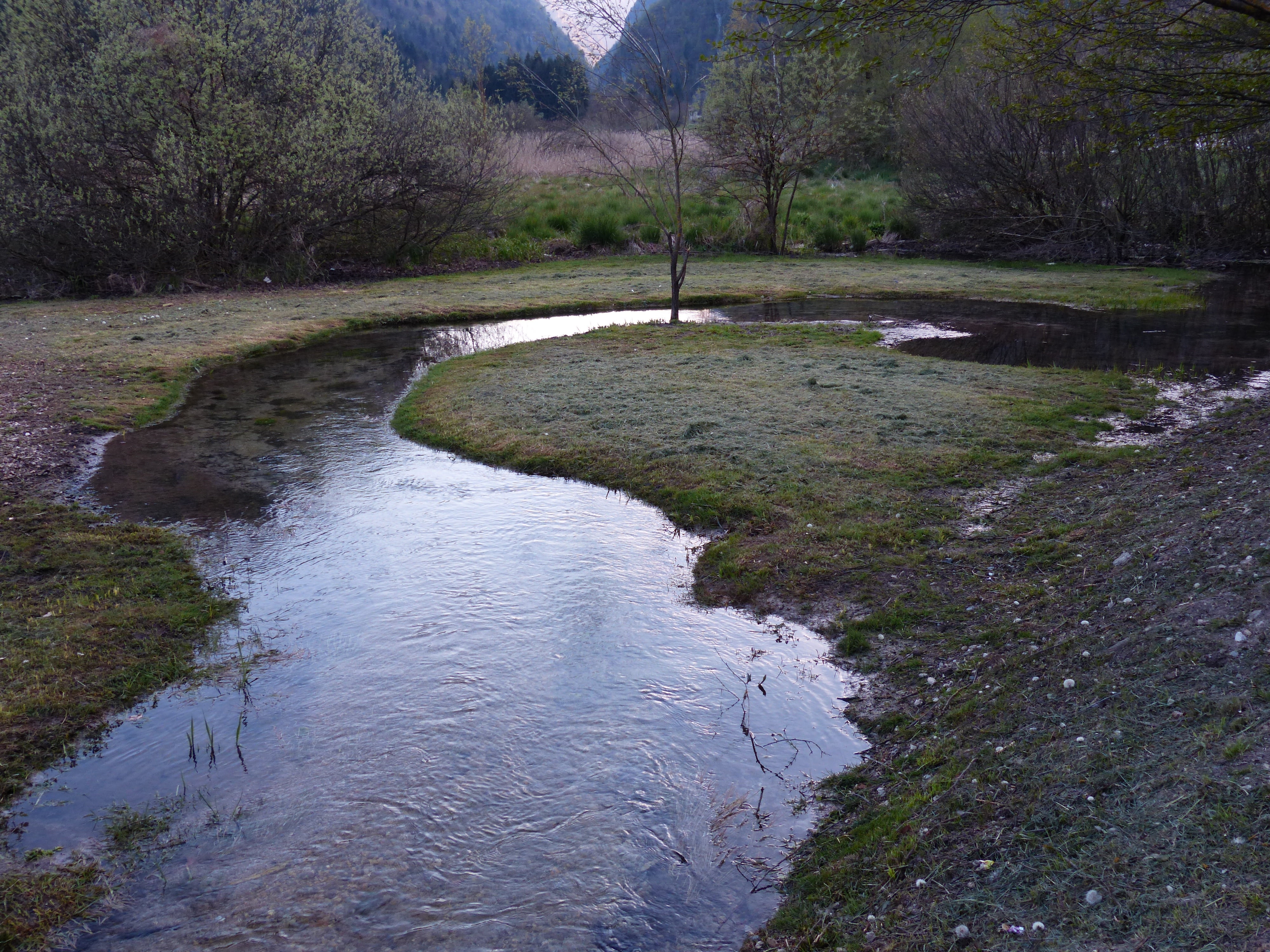 river, plant, river loop, downloading, tranquil scene, meander, valle di ledro, outdoors, environment, tranquility, growth, landscape, scenics - nature, HD Wallpaper
