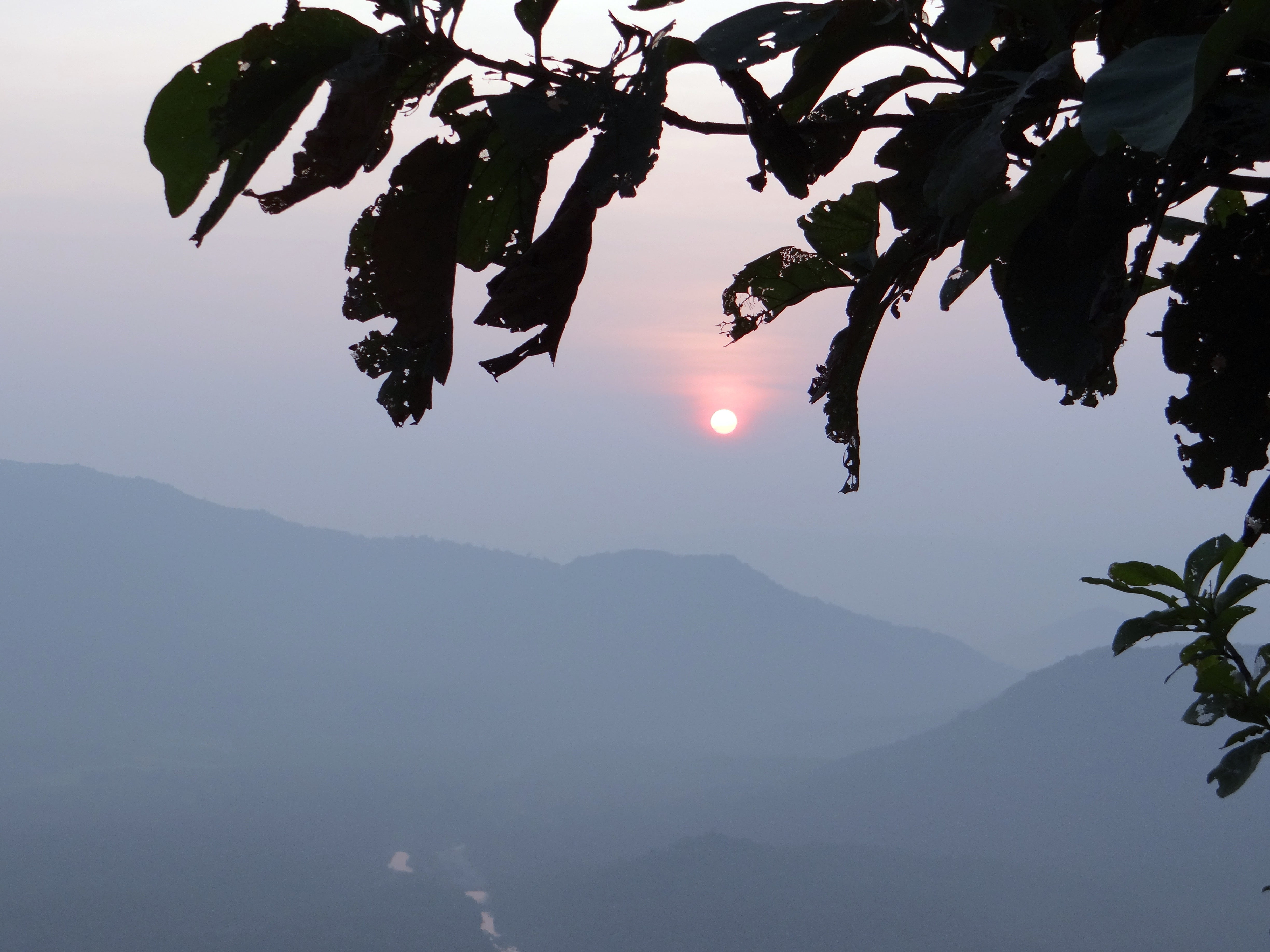 tree, mountain range, scenics - nature, silhouette, sunset, outdoors, mountain, plant, uttar kannada, india, bee rocks, growth, branch, sky, tranquil scene, HD Wallpaper