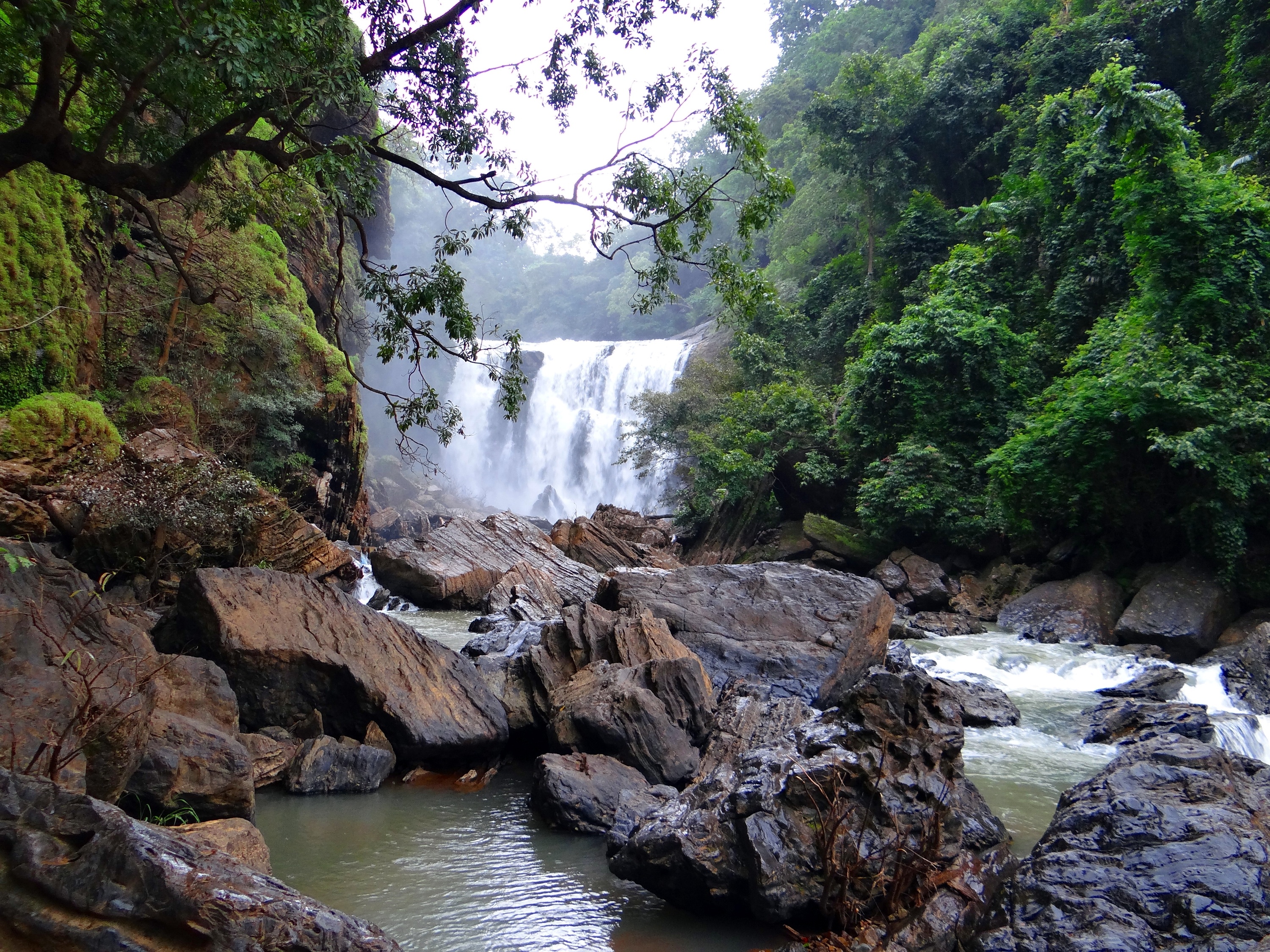 waterfall, trees, water fall, rock - object, mountain, kali river, tranquility, plant, lanscape, scenics, outdoors, stream, flowing water, 2K, photography, HD Wallpaper