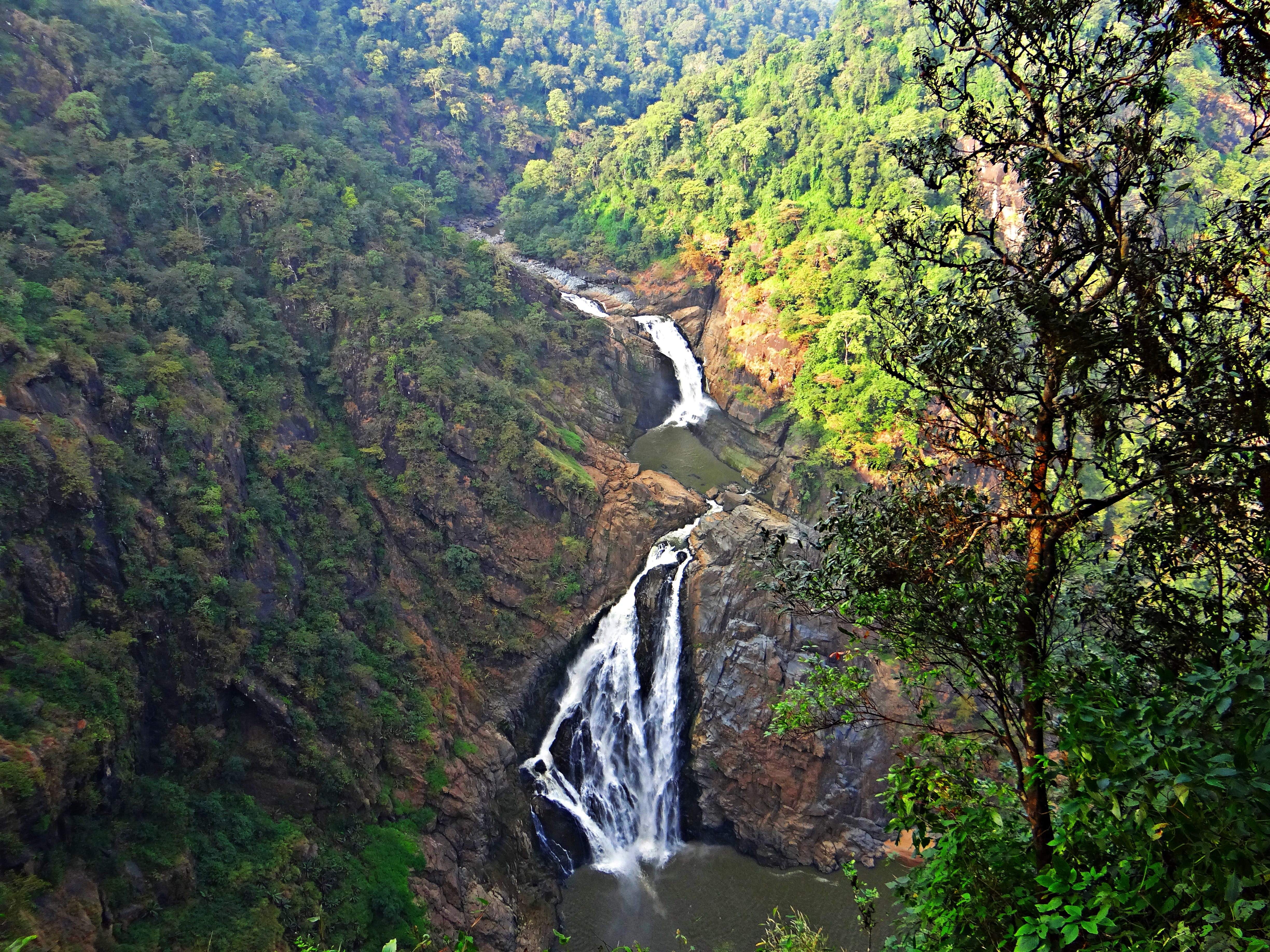 forest, growth, land, day, scenics - nature, nature, outdoors, rock, beauty in nature, long exposure, uttar kannada, waterfall, tree, india, flowing water, HD Wallpaper