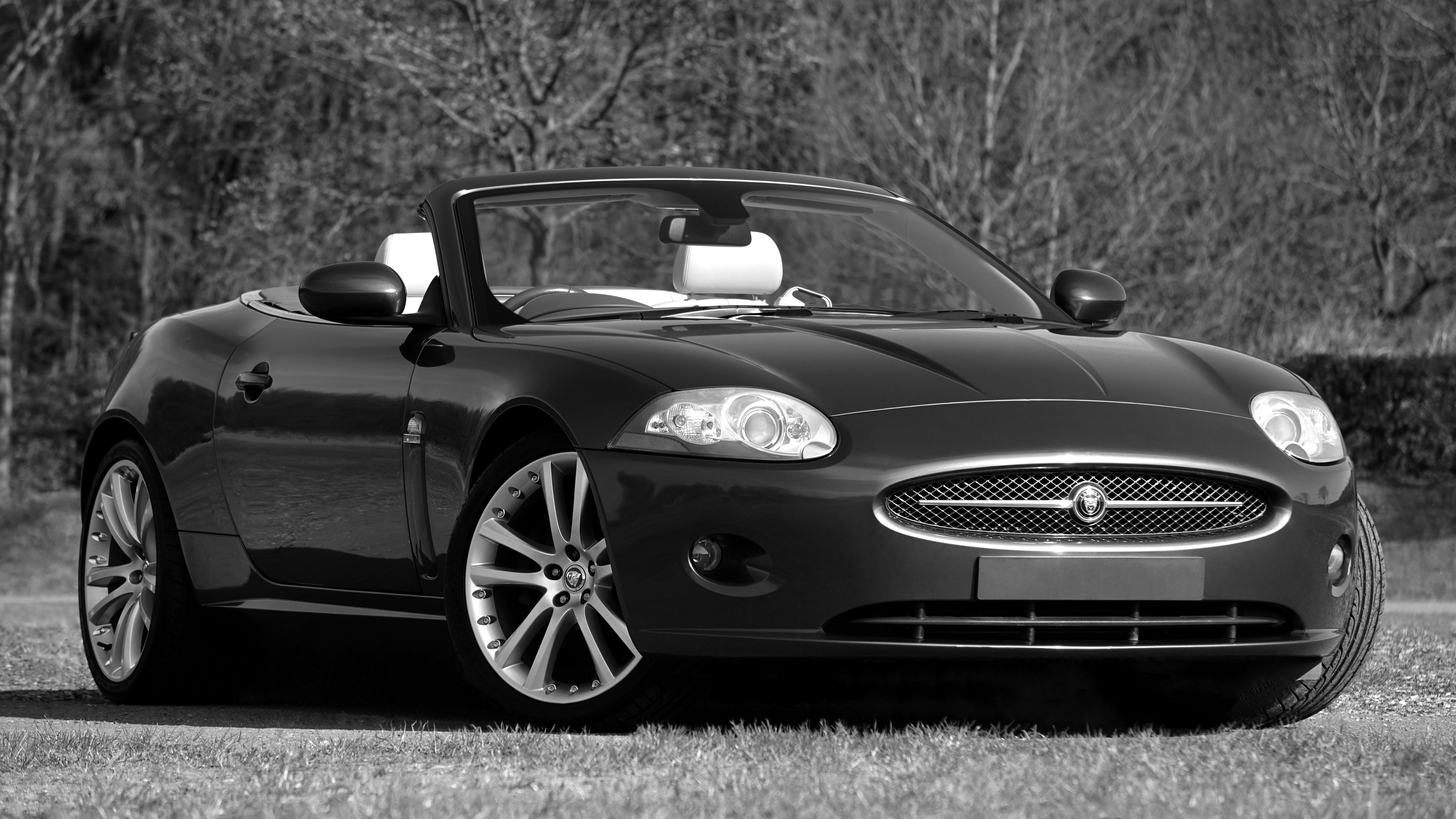 race, road, car engine, engine, technology, automobile, nature, drive, chrome, grass, mode of transportation, convertible, photography, car driving, fast car, HD Wallpaper