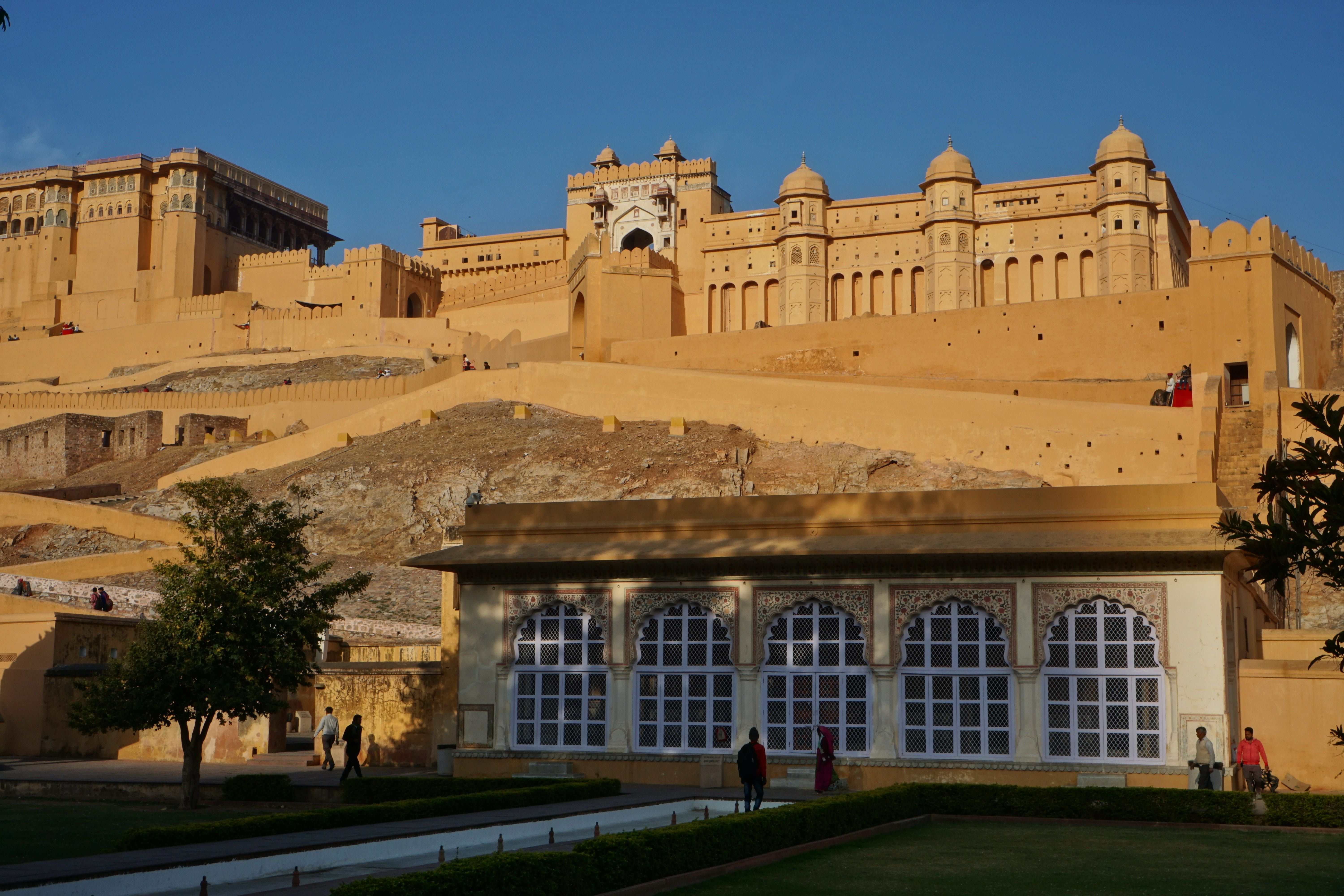 sky, plant, clear sky, the past, tree, jaipur, building, amber fort, architecture, travel destinations, palace, day, outdoors, nature, sunlight, antiquity, HD Wallpaper