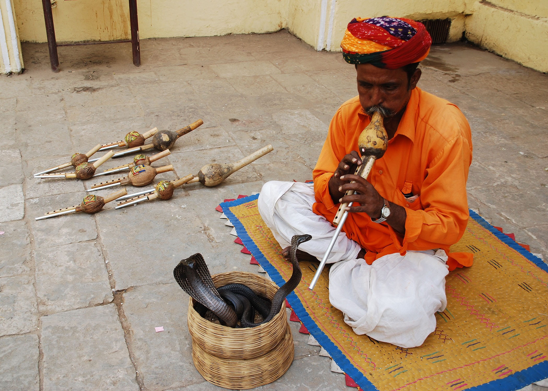 occupation, snake charmer jaipur, amer fort jaipur tour, basket, container, headwear, adult, real people, traditional clothing, front view, full length, HD Wallpaper