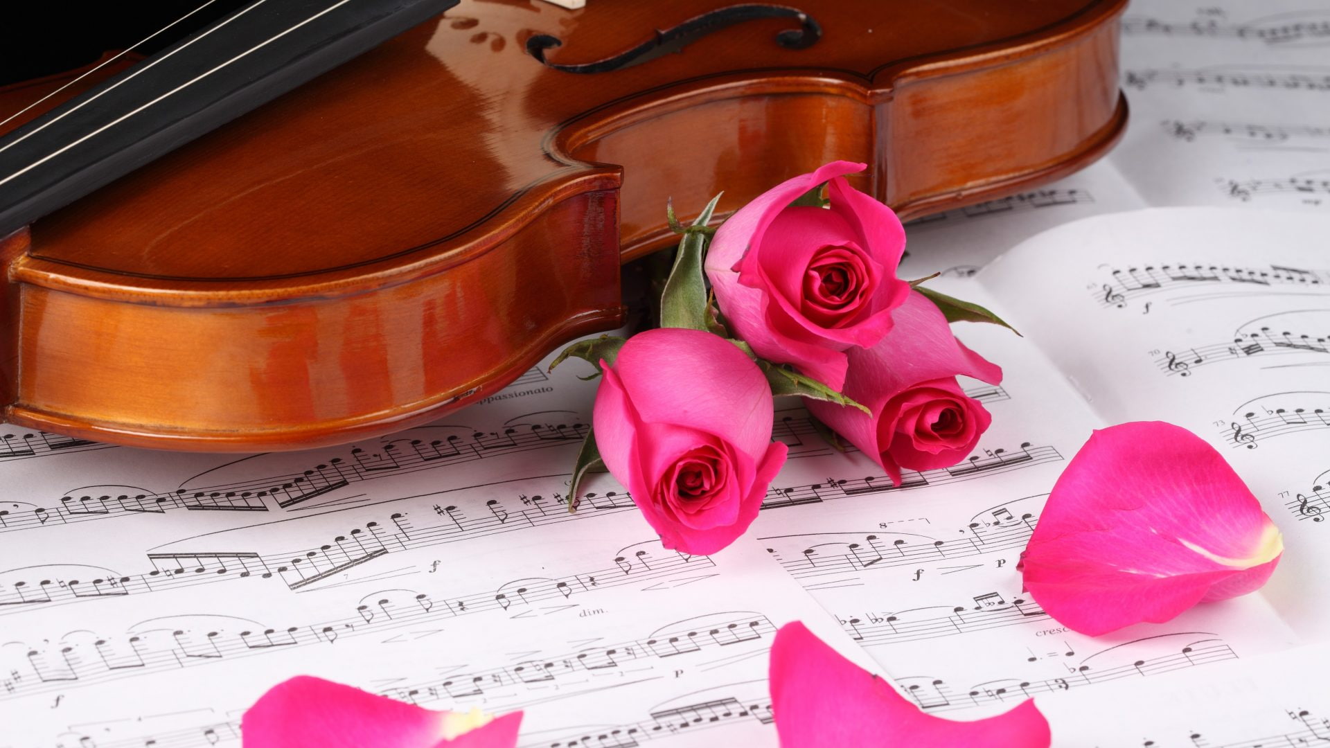 violin, musical, pink, romantic, like, beats, gentle, notes, according, photo, k, desktop, love, heart, 1080P, rose, hd, HD Wallpaper