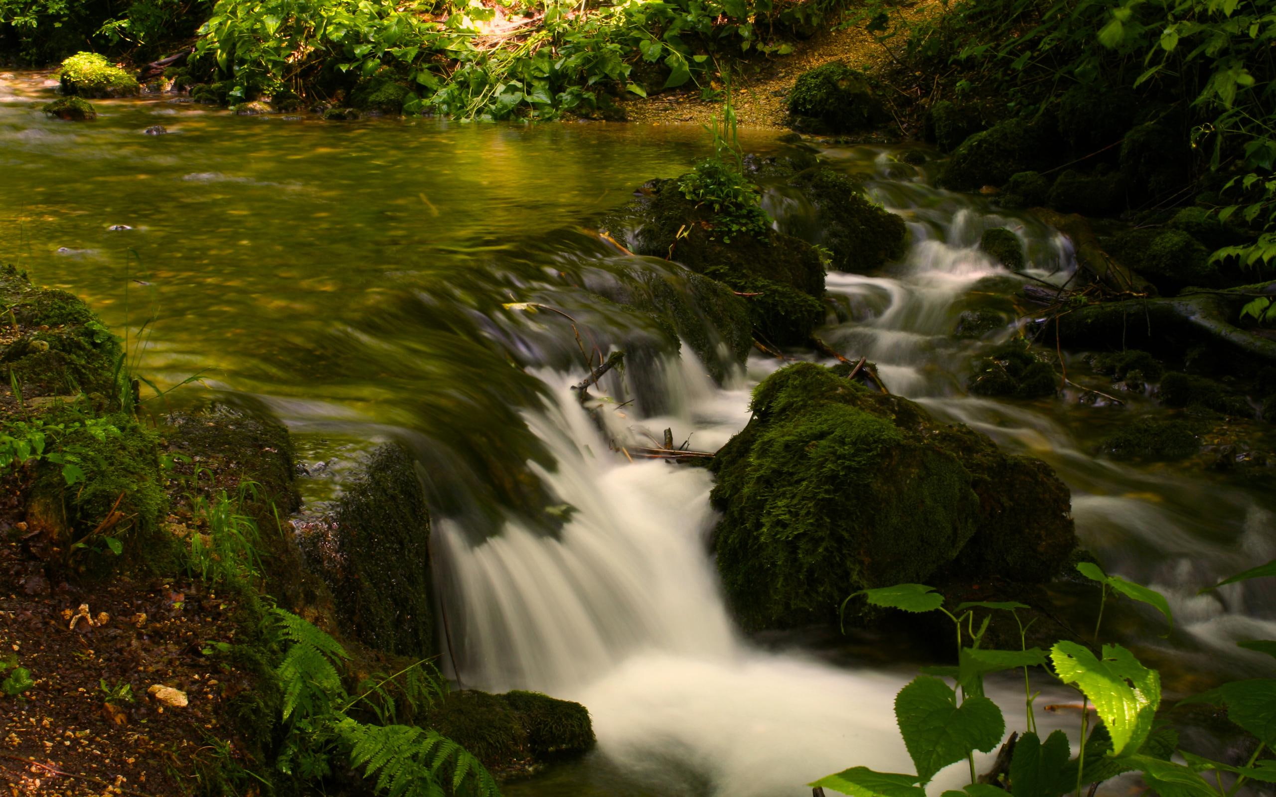 water, moss, clear, beautiful, gentle, stream, nature, rocks, 2K, 3d and abstract, vegetation, gravel, HD Wallpaper