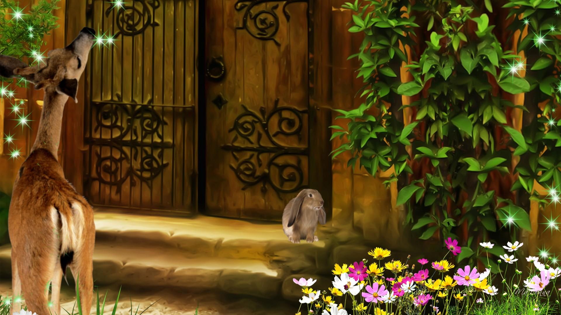 bunny, rabbit, animals, friends, deer, 1080P, church, steps, wild flowers, stars, flowers, door, HD Wallpaper