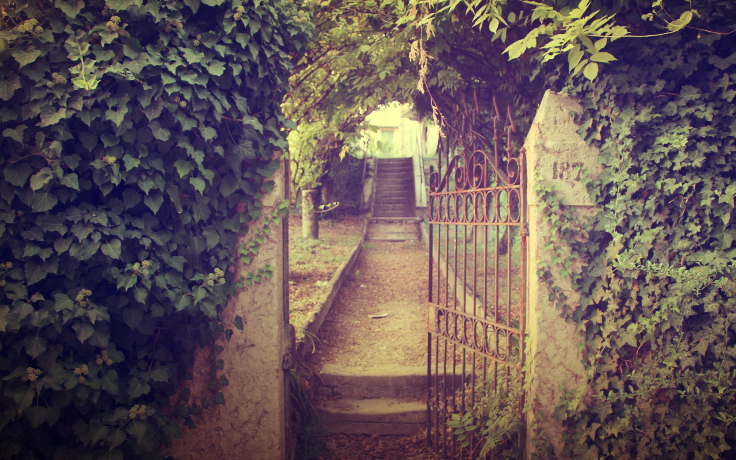 architecture, photography, 3d and abstract, 2K, green, nature, gate, path, walkway, artistic, manmade, HD Wallpaper