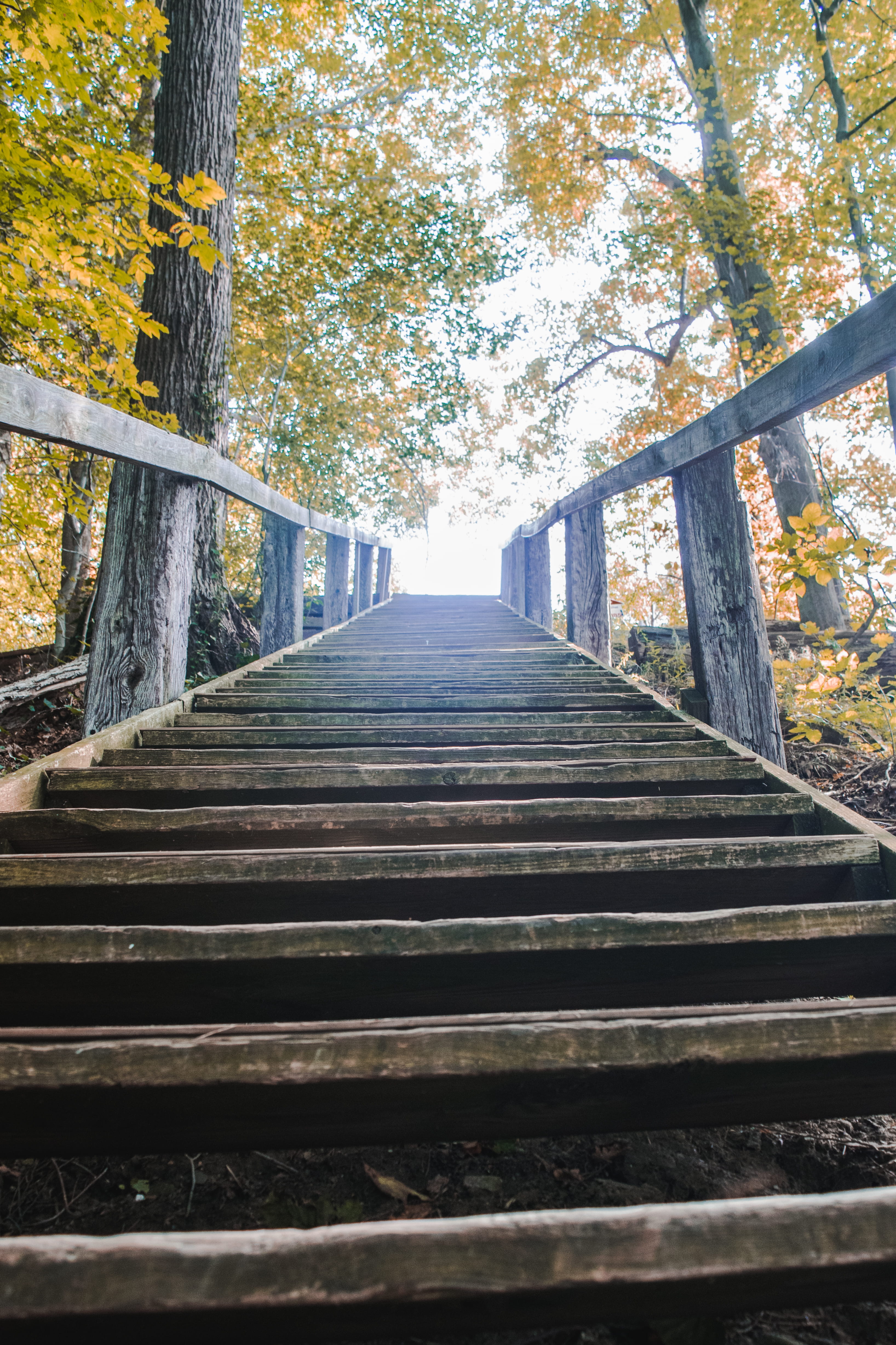 built structure, staircase, manmade, nature, railing, long, wood, symmetry, direction, lines, tree, wood - material, sunset, stairs, diminishing perspective, Phone HD Wallpaper