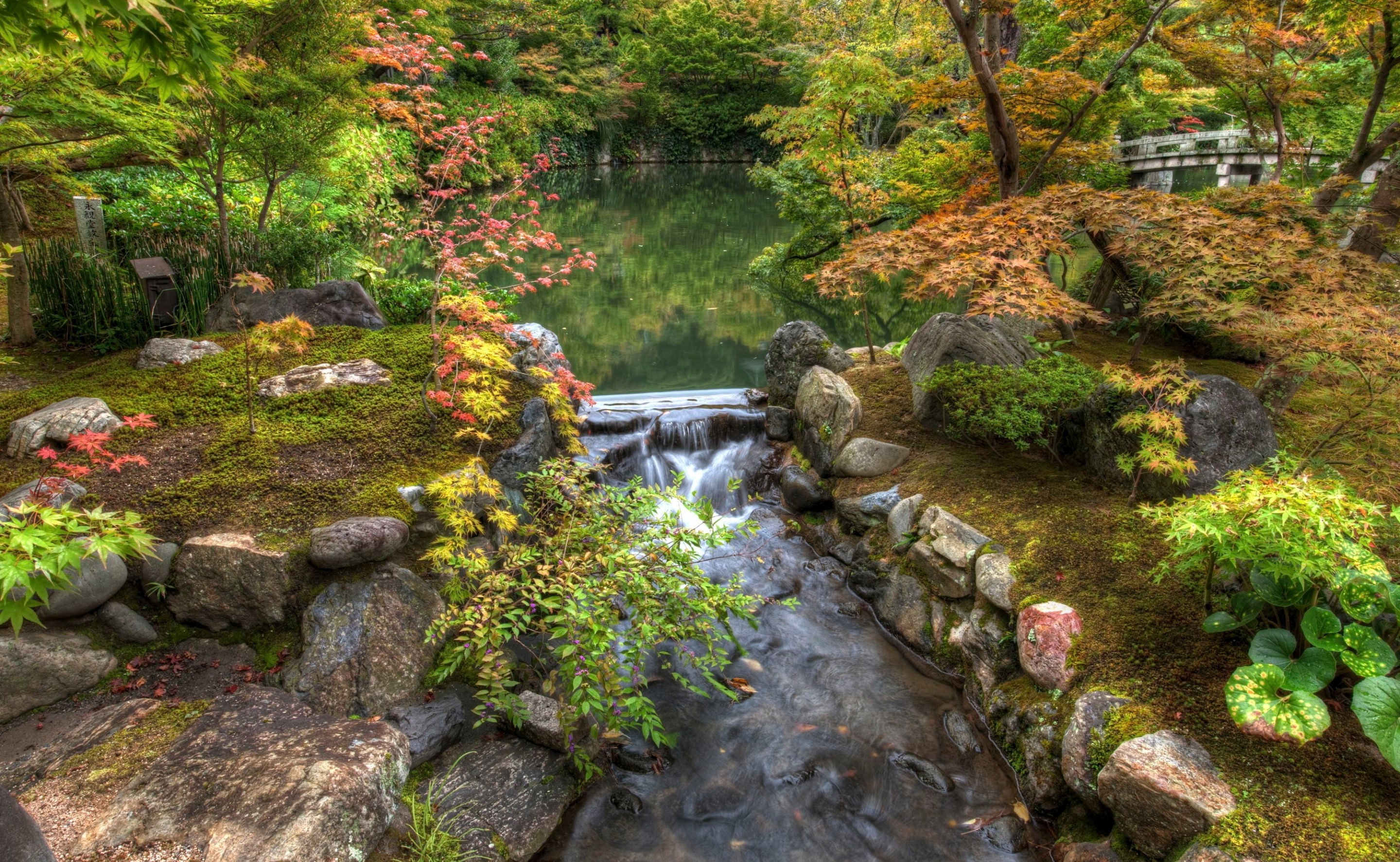 tranquility, water, stream - flowing water, forest, beauty in nature, tree, solid, outdoors, change, Rocks, tranquil scene, waterfalls, green color, Lake, HD Wallpaper