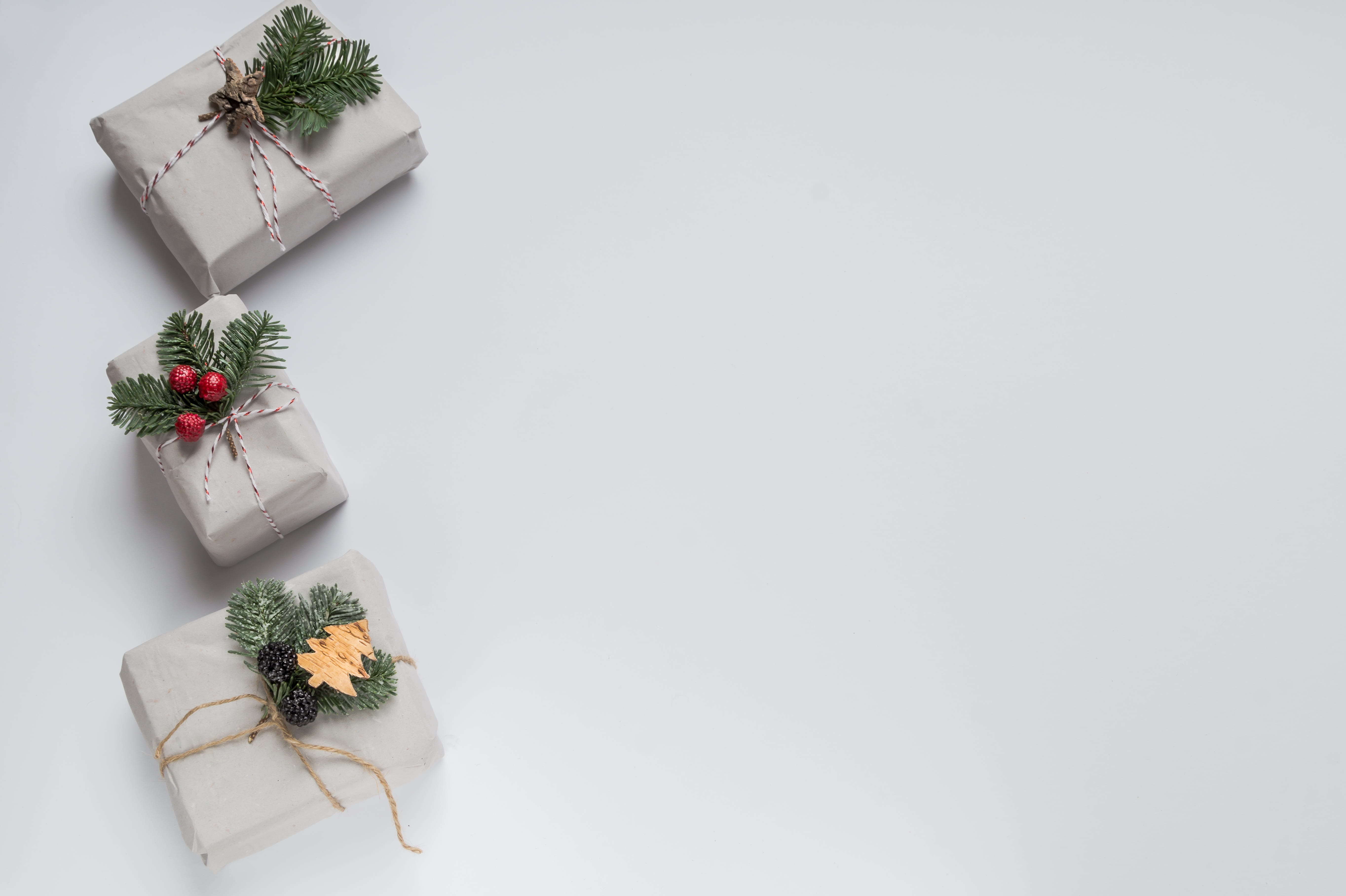 5K, decoration, studio shot, december, celebration, accent, christmas, potted plant, gift, ribbon - sewing item, happy holidays, leaf, green, HD Wallpaper