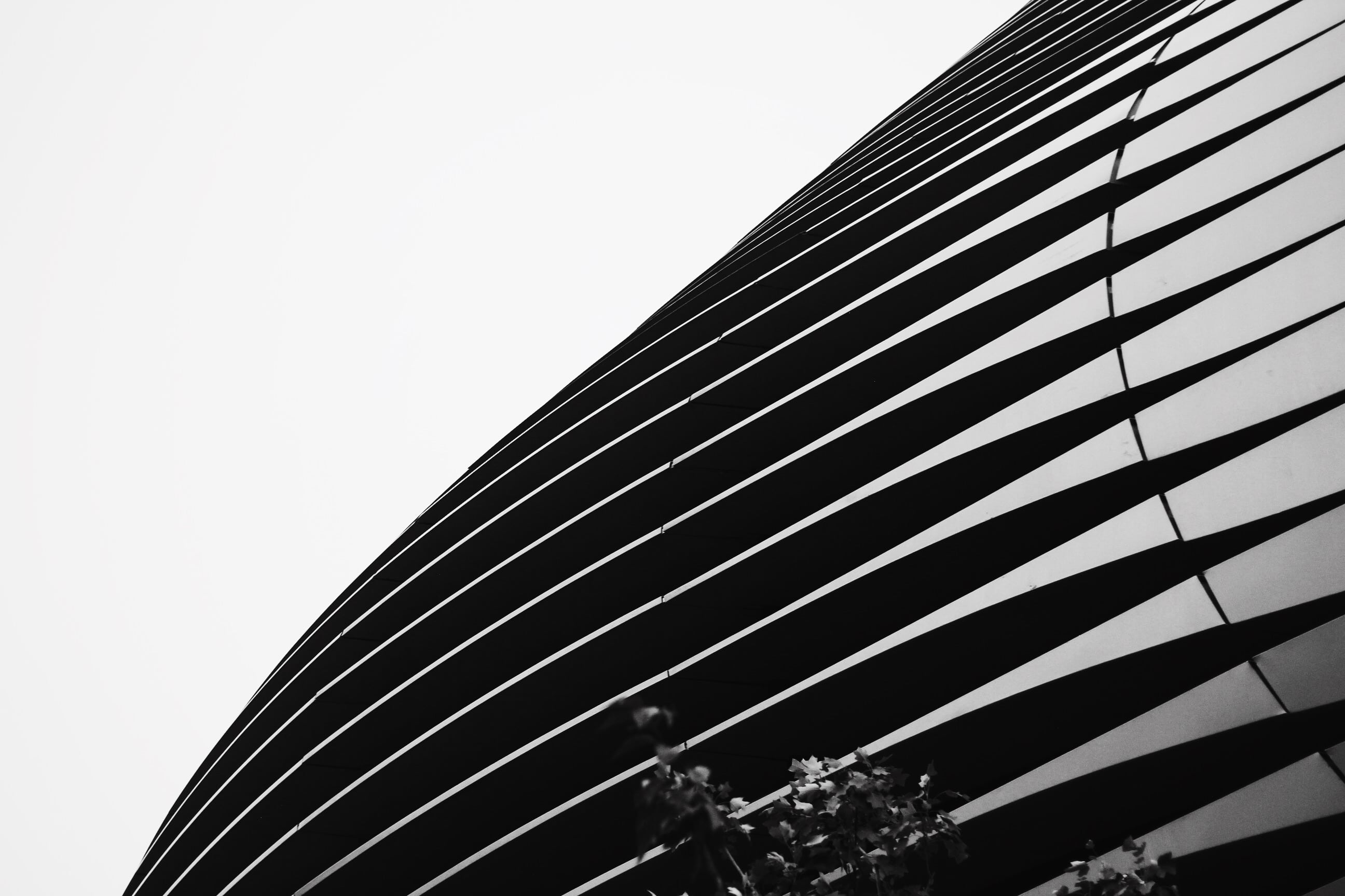 outdoors, pattern, design, black-and-white, contemporary, tall - high, built structure, office, no people, abstract, glass, steel, day, plants, business, HD Wallpaper
