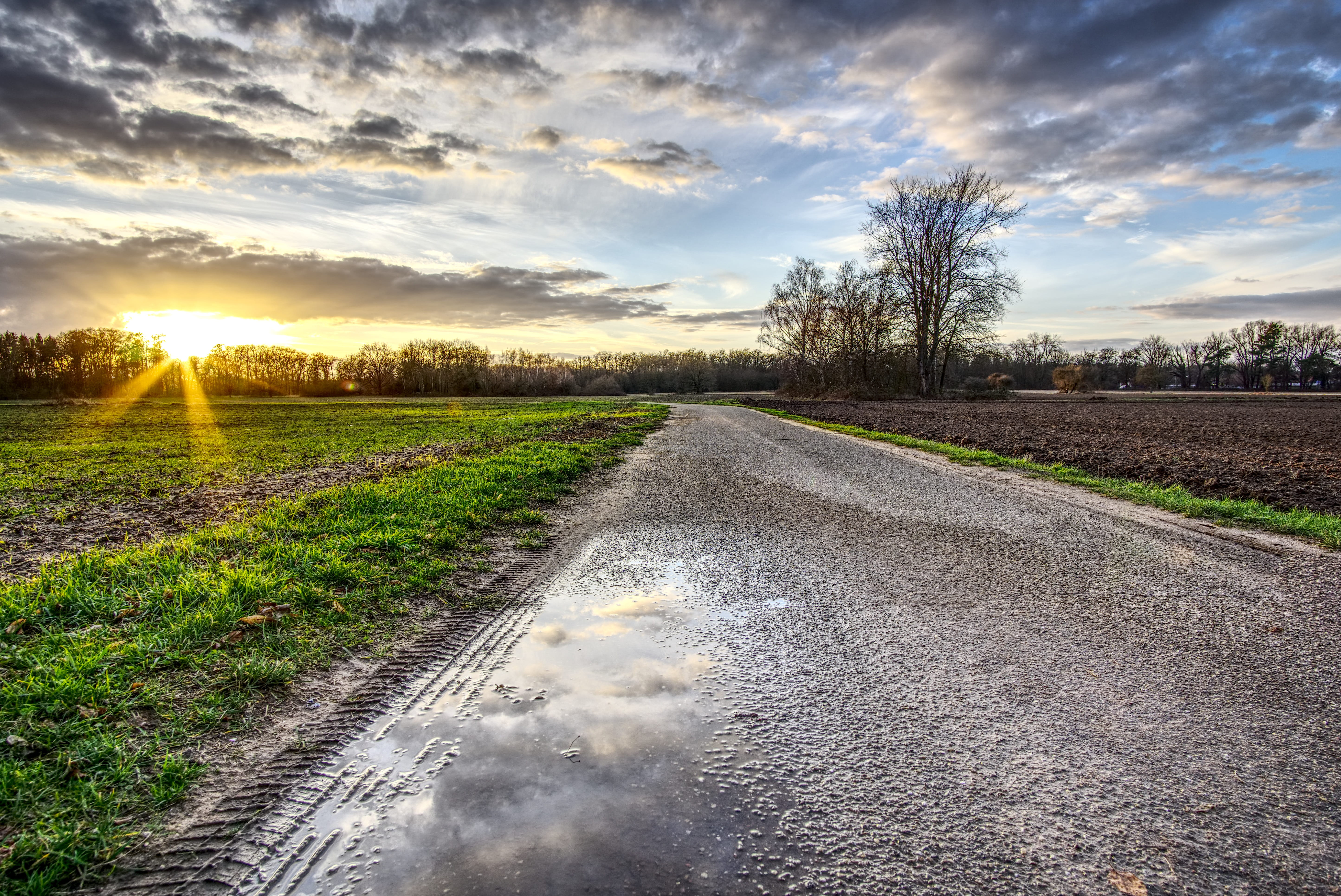 field, abendstimmung, rural scene, atmospheric, 5K, away, landscape, clouds, tranquil scene, beauty in nature, growth, tranquility, direction, high dynamic range, HD Wallpaper
