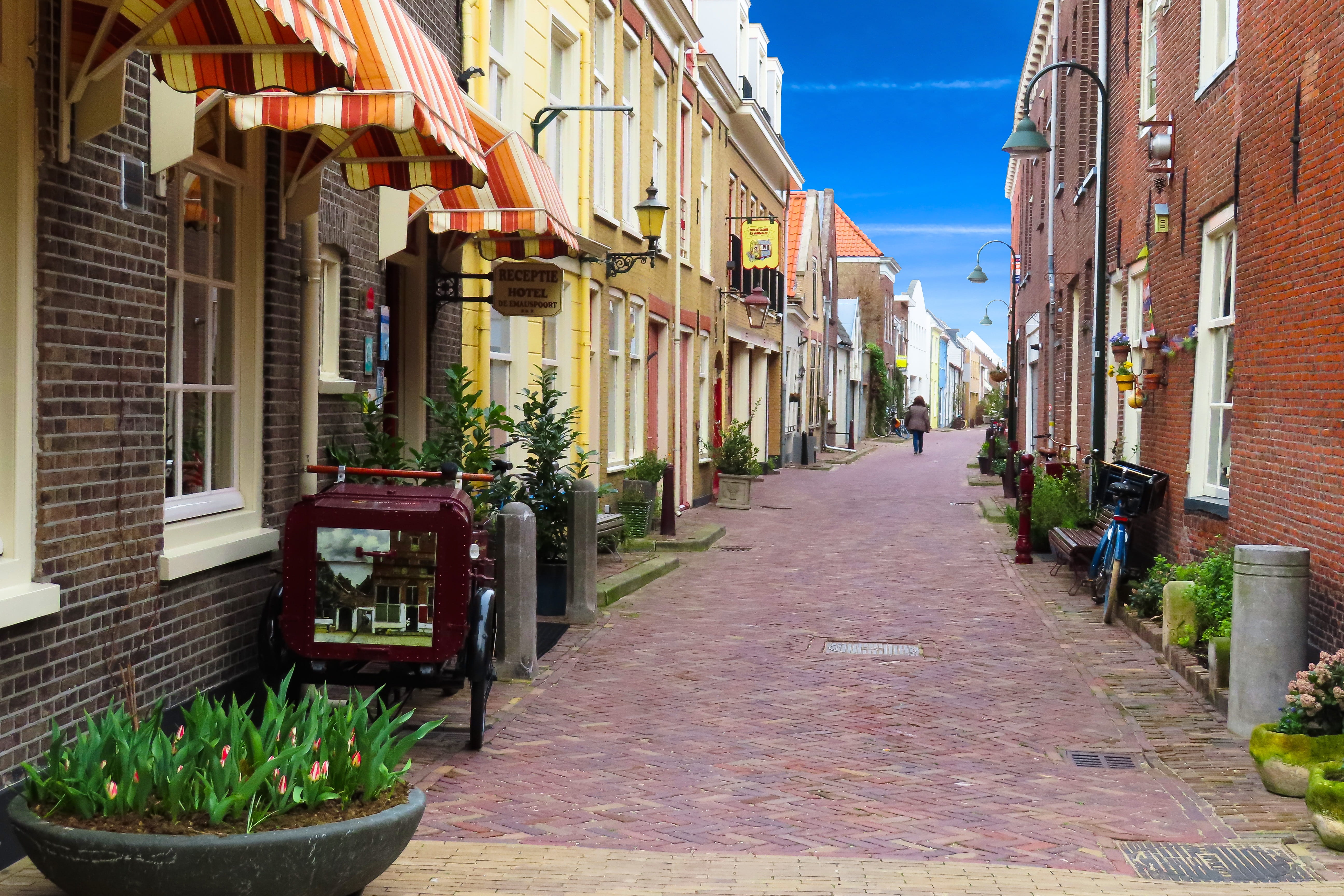 plant, house, architecture, outdoors, built structure, delft, residential district, sky, footpath, nature, building exterior, travel, the way forward, potted plant, HD Wallpaper