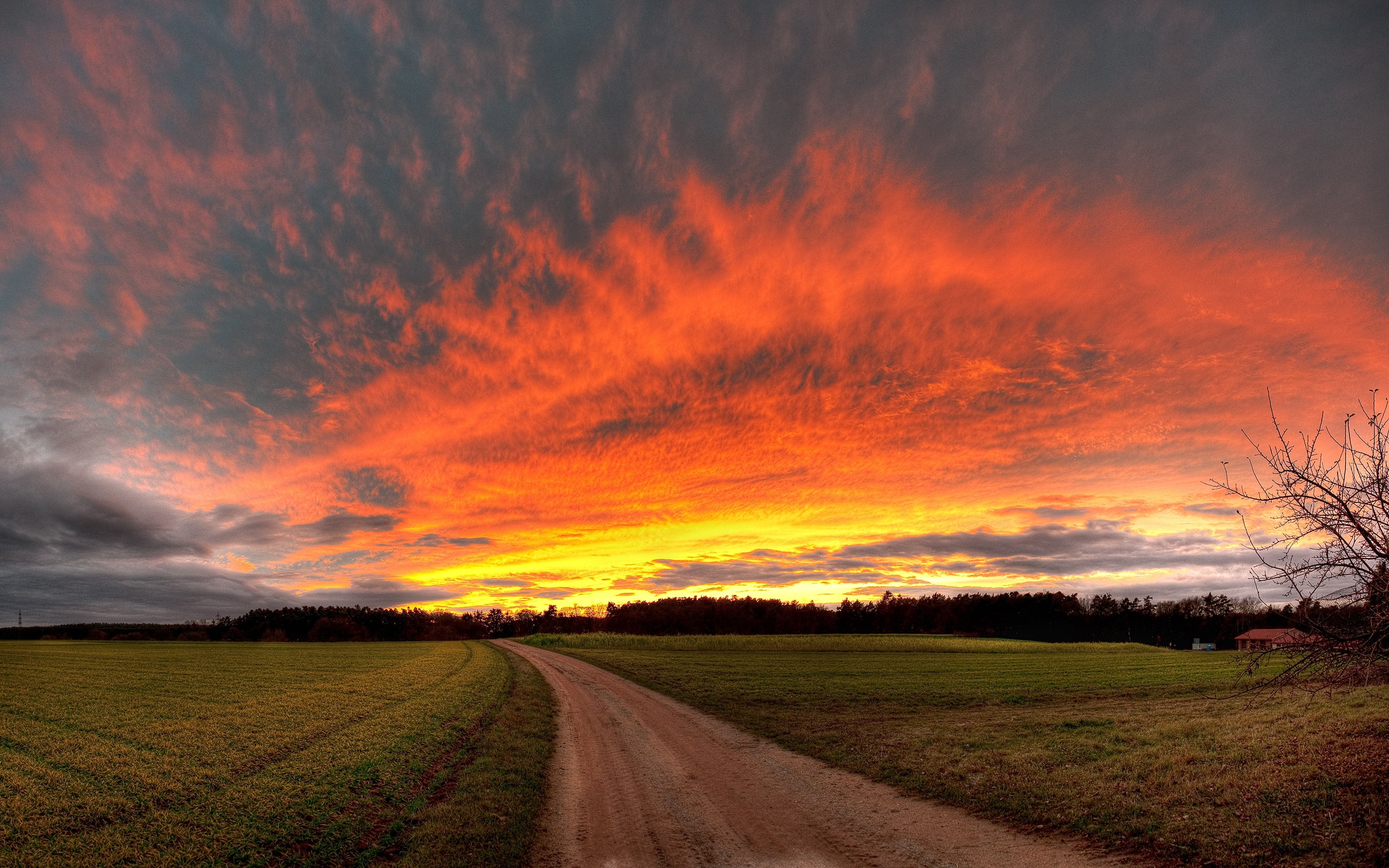 weather, nature, diminishing perspective, direction, autumn, agriculture, orange Color, dusk, landscaped, footpath, outdoors, season, no People, sunset, HD Wallpaper
