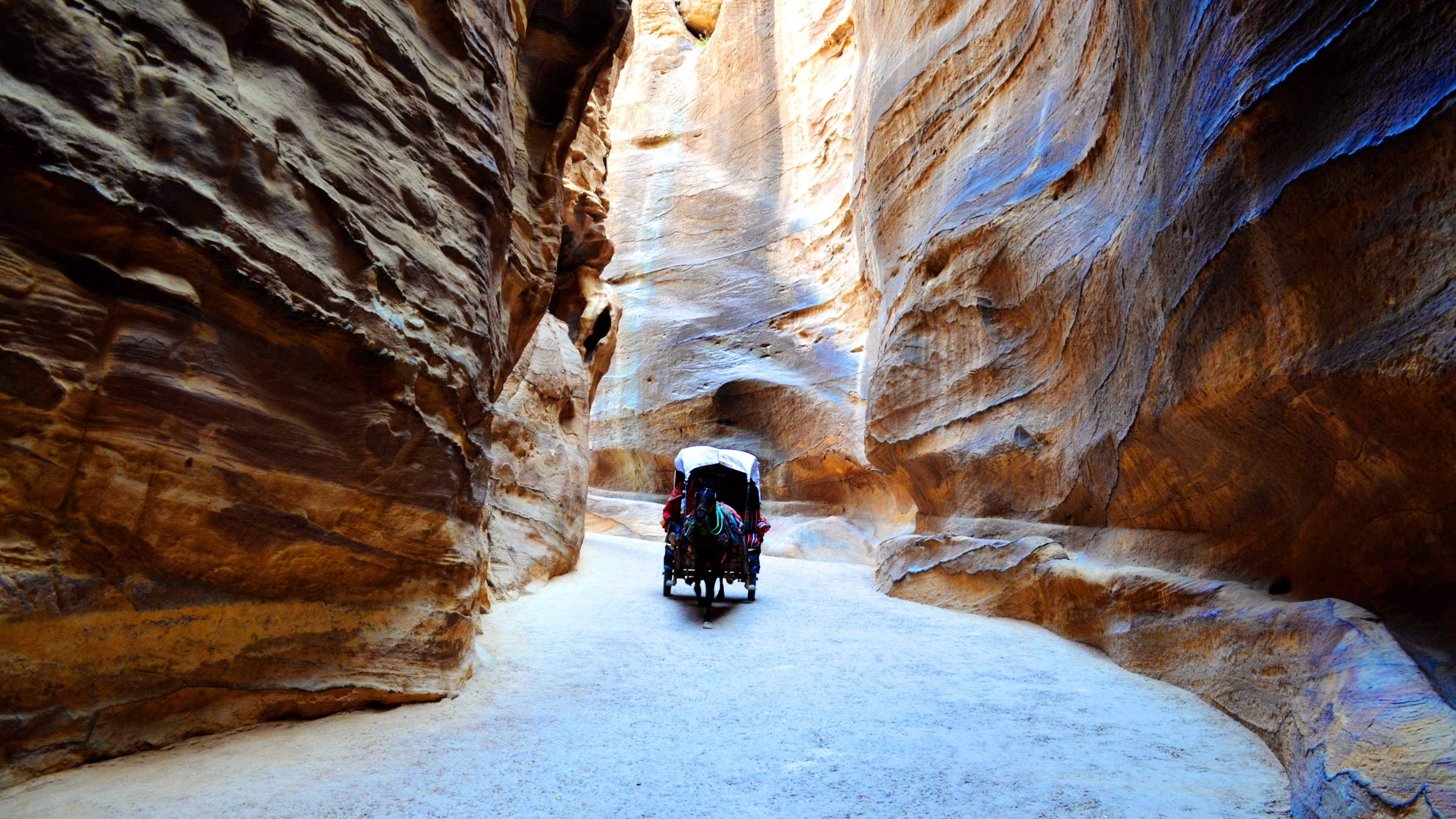 rocks, Jordan, 4k, high, Petra, 4K, horse, carriage, cliffs, HD Wallpaper