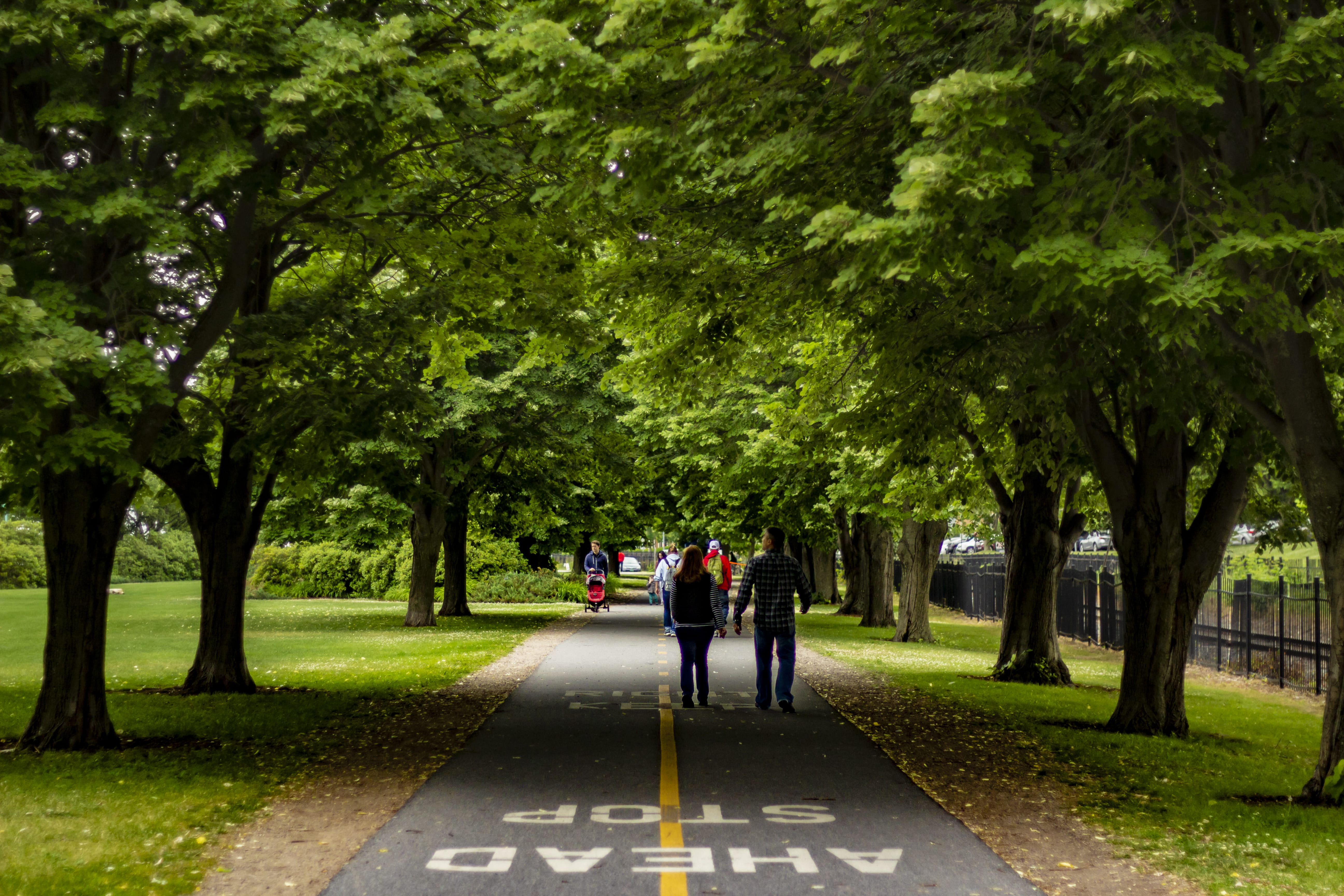 serene, drive, the way forward, day, outdoors, trees, direction, love, vt, road, greenery, 5K, footpath, plant, real people, full length, tree, nature, HD Wallpaper