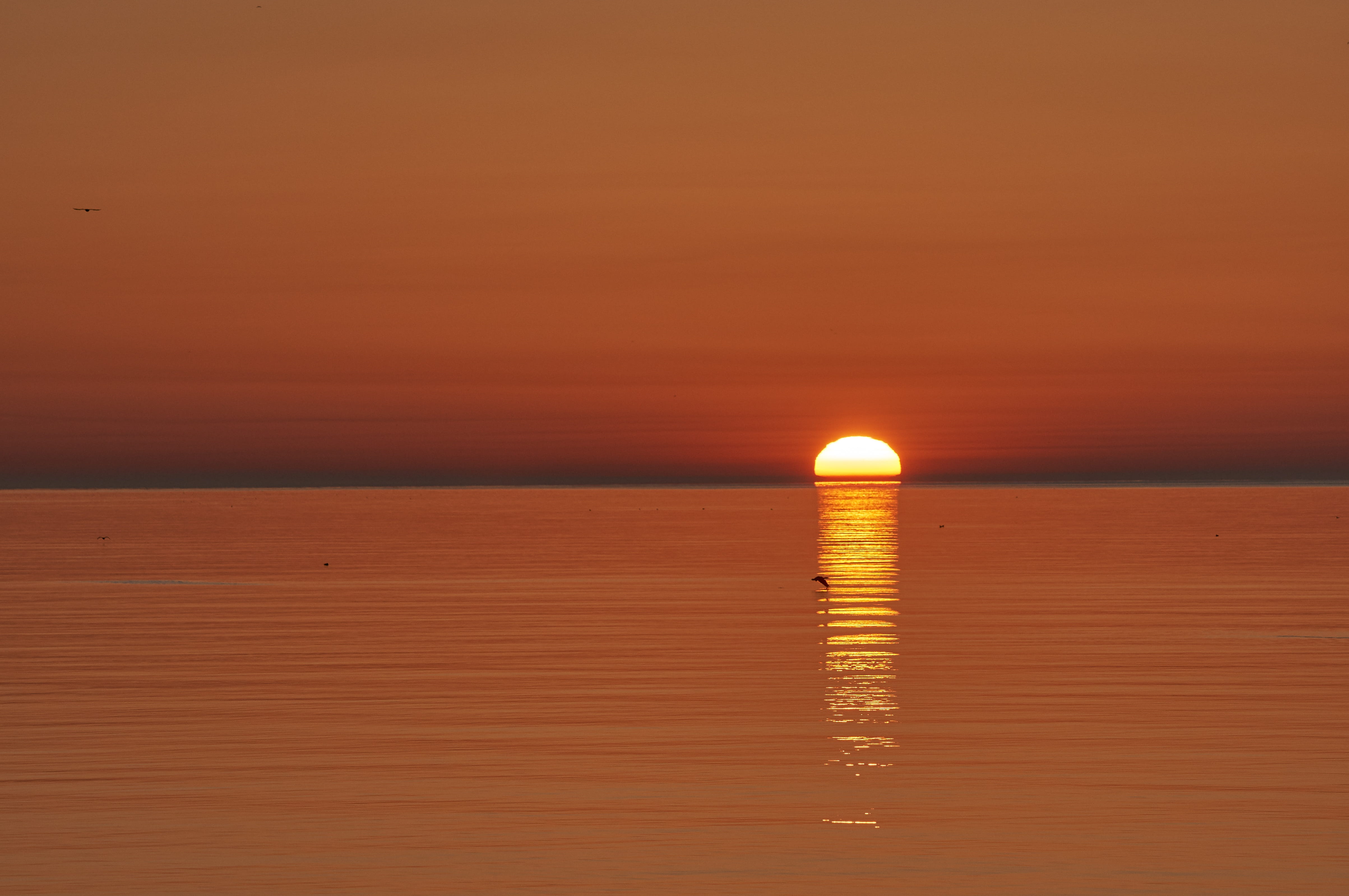 tranquil scene, lake ontario, copy space, reflection, summer, sun, water, sky, idyllic, nature, 4K, electricity, beauty in nature, sunset, sea, red, sunrise, HD Wallpaper