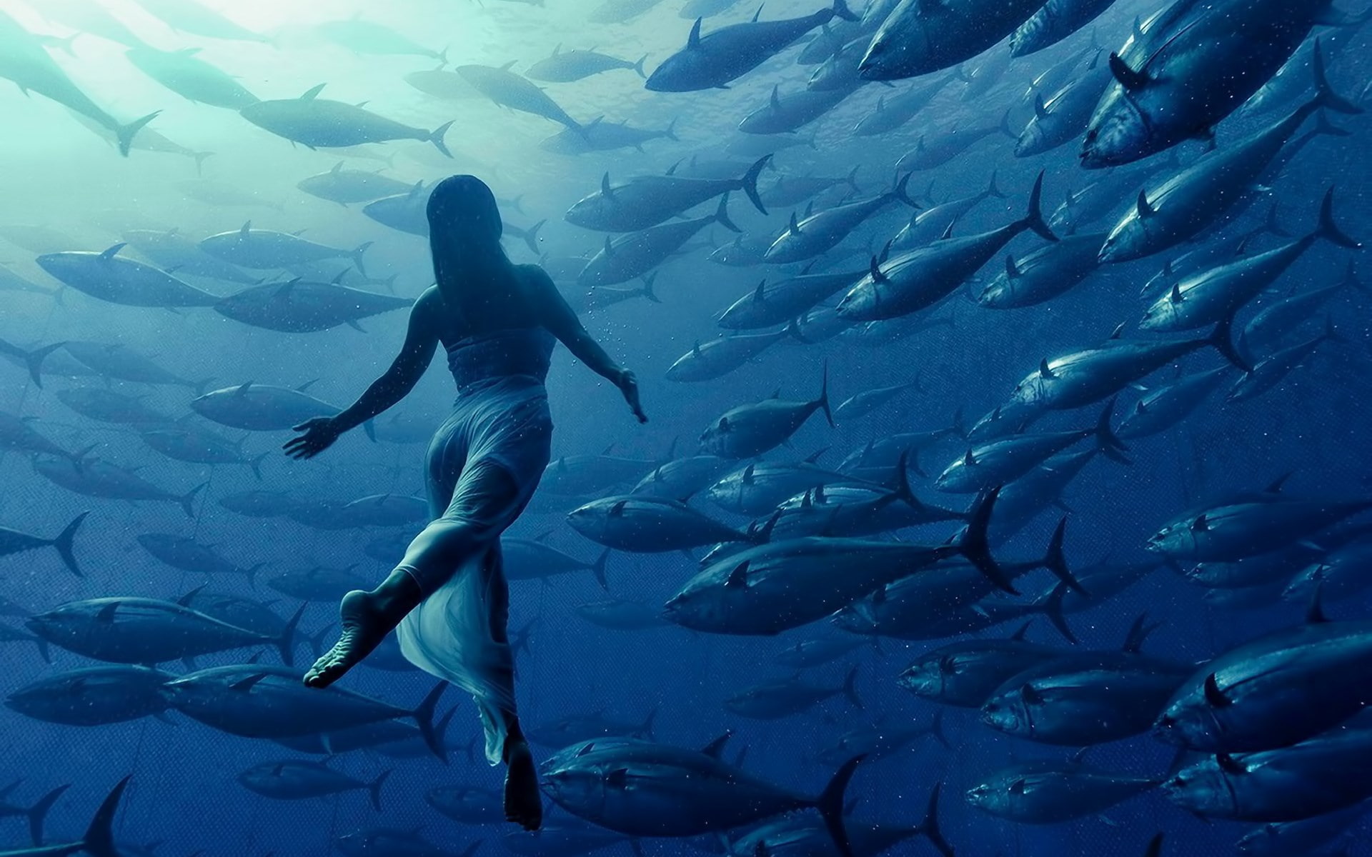 sea, animal themes, vertebrate, undersea, group of animals, one person, school of fish, underwater, large group of animals, full length, sea life, tuna, HD Wallpaper