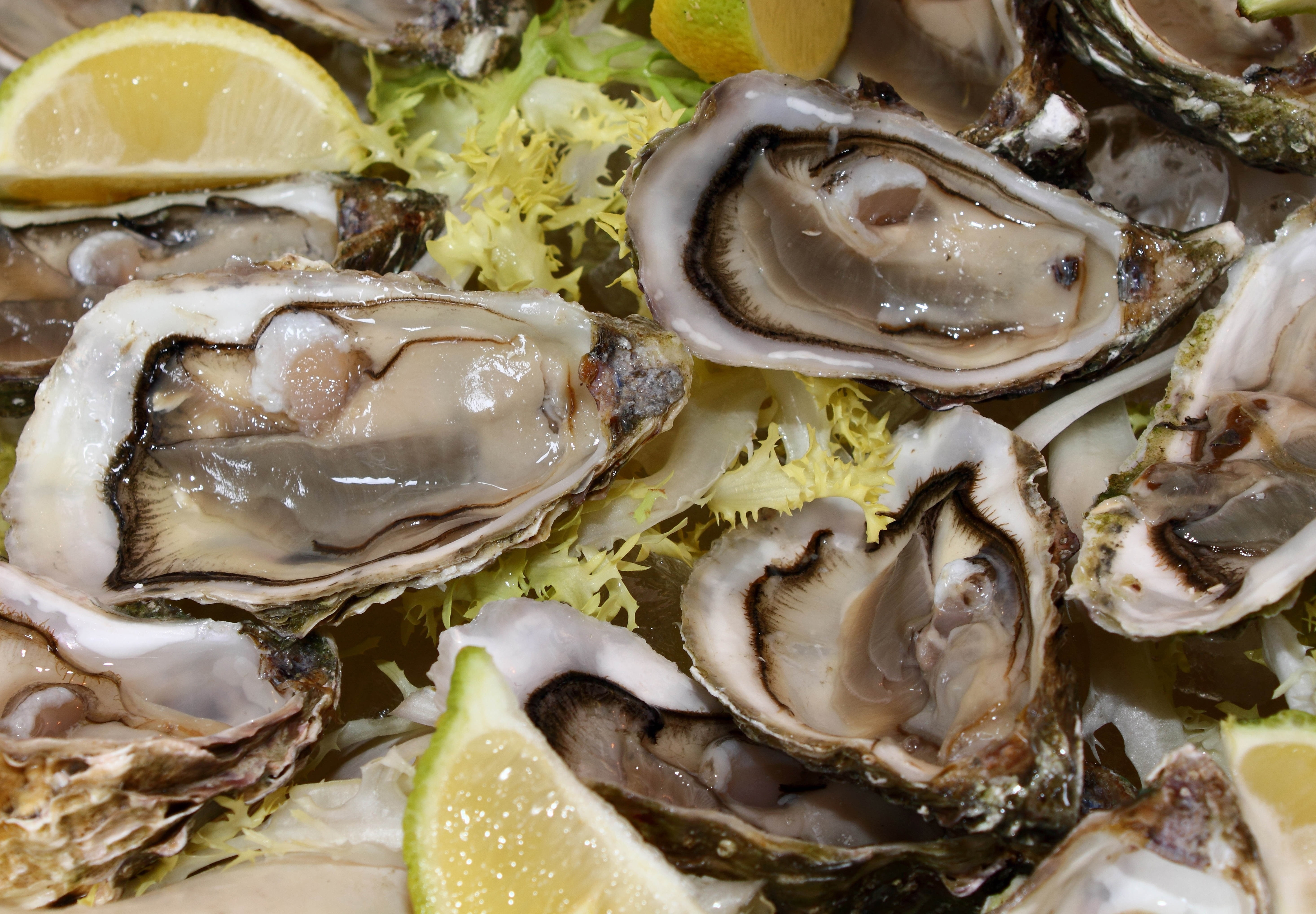 indoors, cooking, meal, refreshment, fruit, mussel, oyster, bivalve, crustacean, restaurant, prepared Shellfish, appetizer, vegetable, high angle view, HD Wallpaper