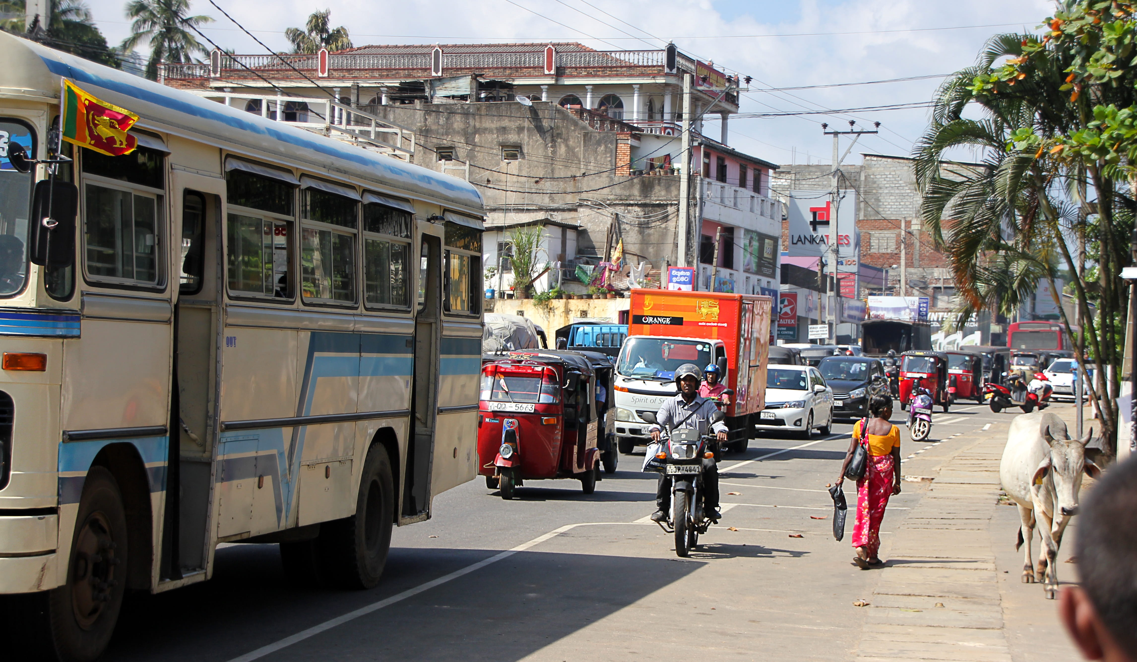street, Road, tourist, mode of Transport, cow, land Vehicle, urban Scene, travel, sign, traffic, local, car, transportation, bus, architecture, day, building exterior, HD Wallpaper