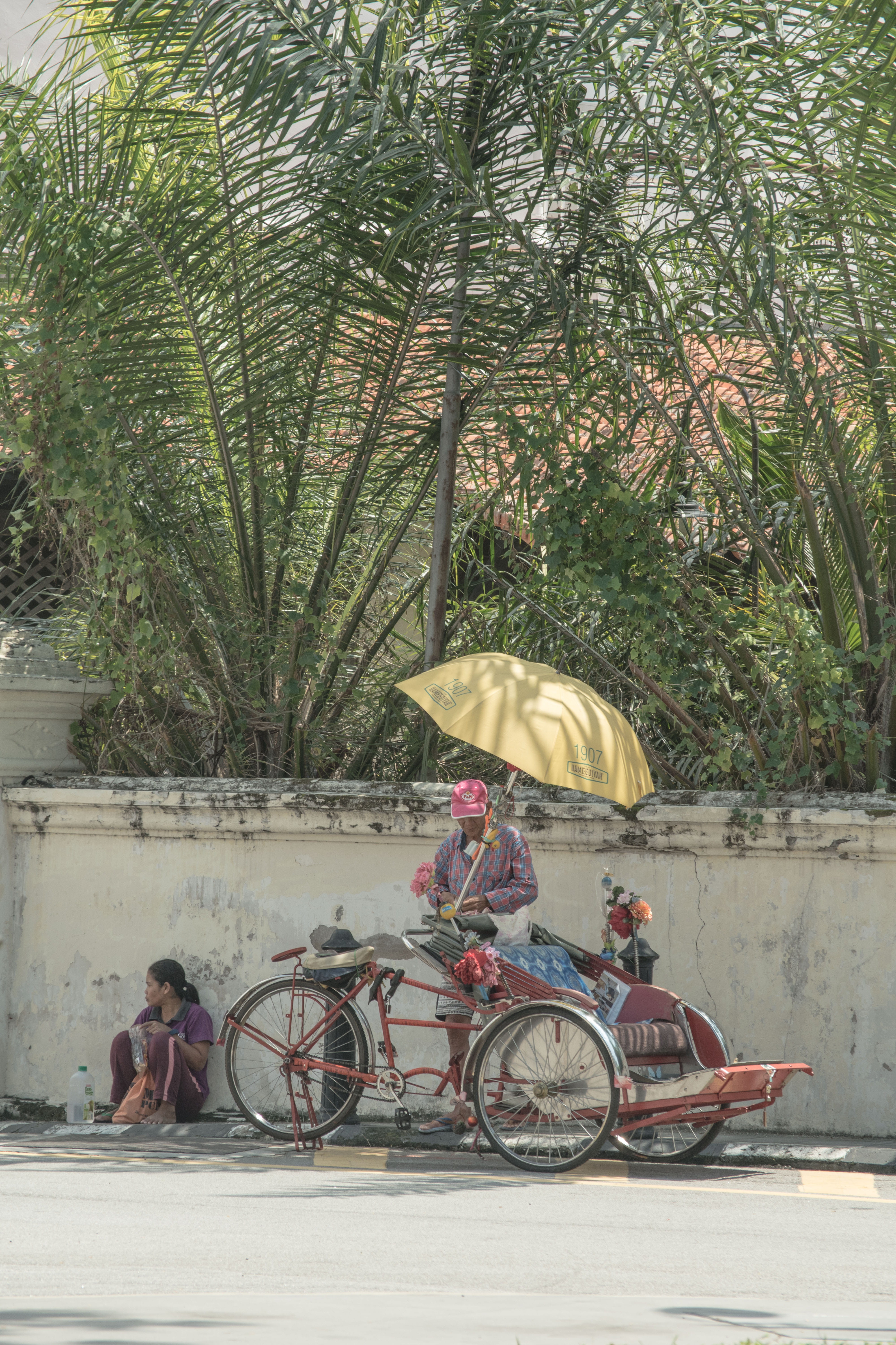 day, woman, lifestyles, nature, plant, man, city, shadow, tuk tuk, sun, real people, umbrella, riding, bicycle, trees, full length, outdoor, george town, Phone HD Wallpaper
