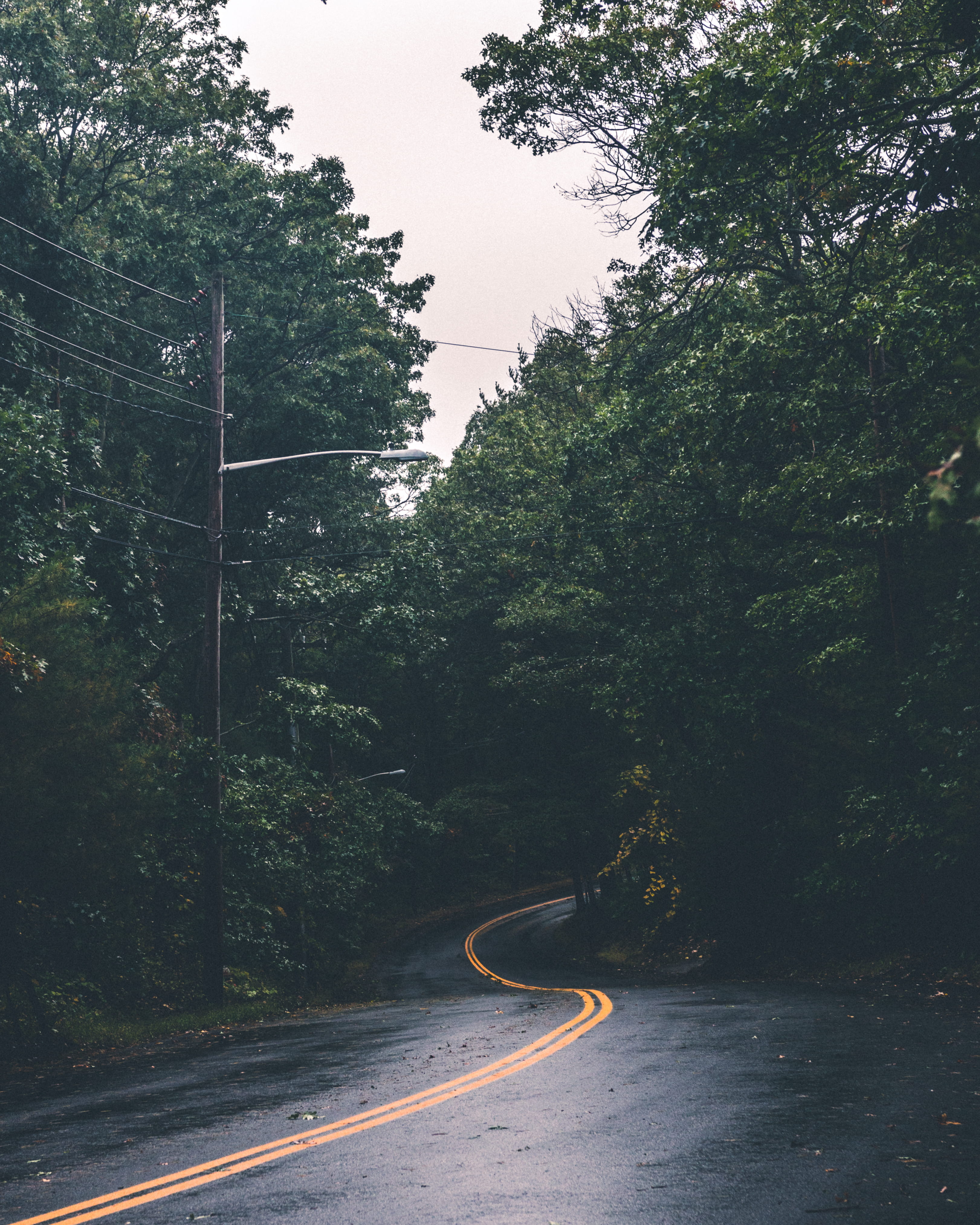 lamp, daytime, streetlight, direction, bend, day, tree, asphalt, light, swirling, gray, street, curve, trees, the way forward, no people, streetlamp, outdoors, Phone HD Wallpaper