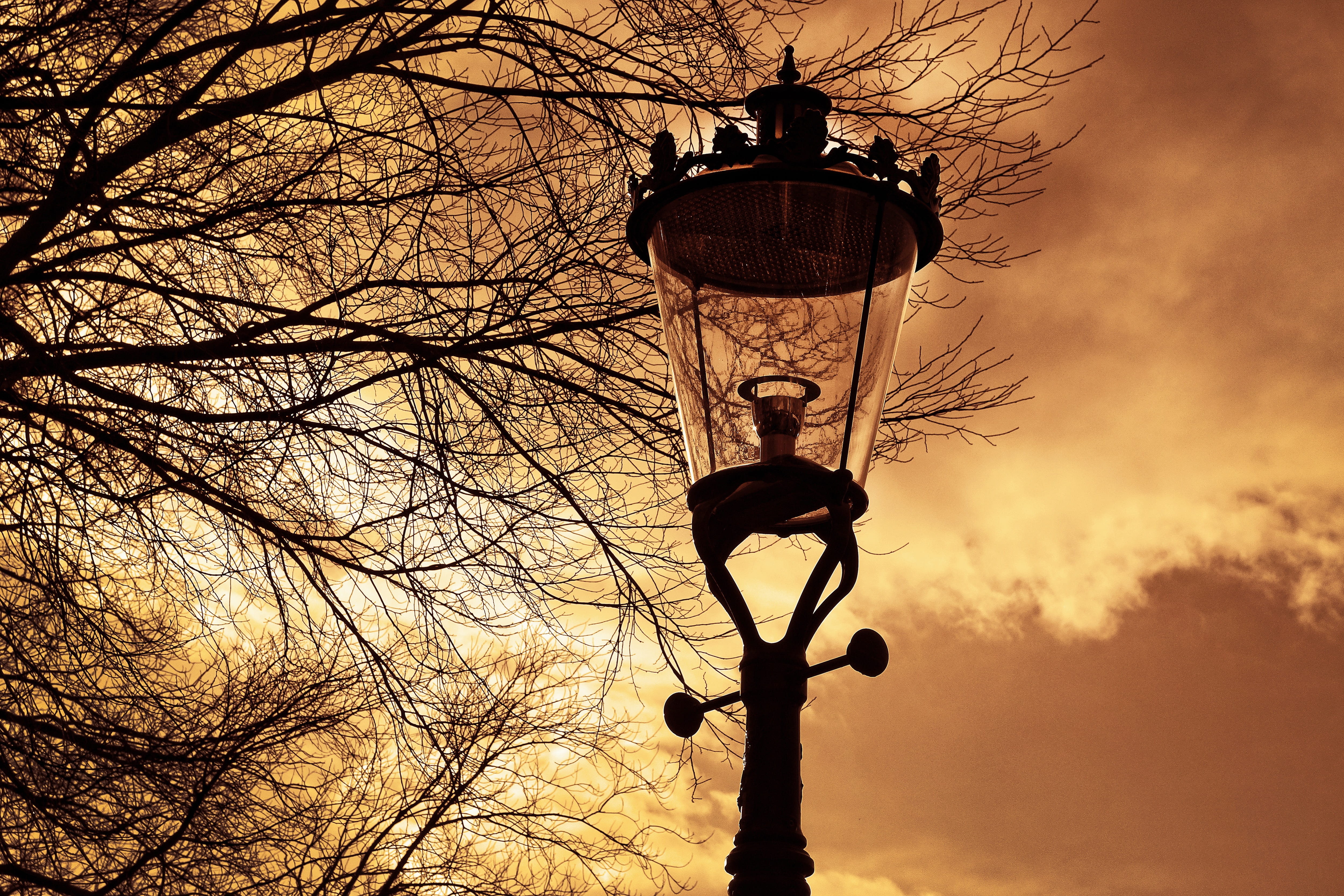weesperzijde, day, sunset, european, branch, outdoors, plant, silhouette, street, sky, post, electric lamp, lamppost, old, electric light, nature, street light, HD Wallpaper