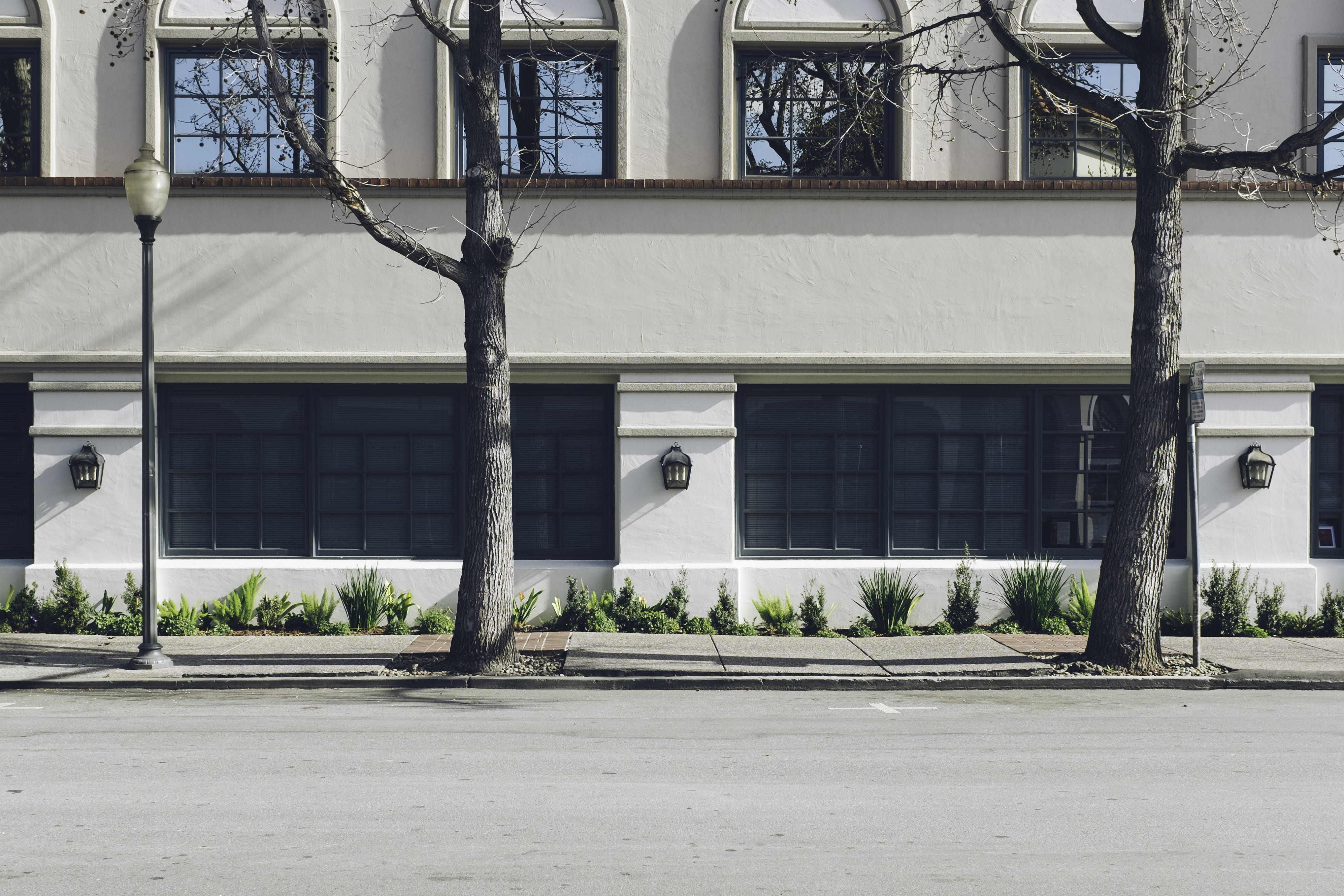 transportation, sidewalk, door, entrance, pavements, two, built structure, street, plant, urban, white, front, tree, road, bare, building exterior, facade, HD Wallpaper