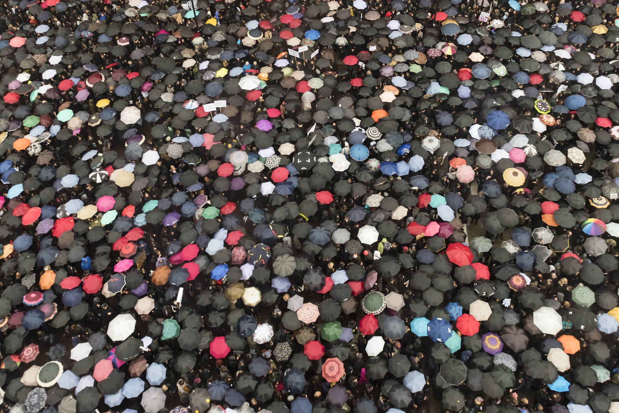 abundance, street, variation, outdoors, close-up, nature, freshness, Warsaw, 500px, 1080P, multi colored, confetti, celebration, repetition, backgrounds, HD Wallpaper
