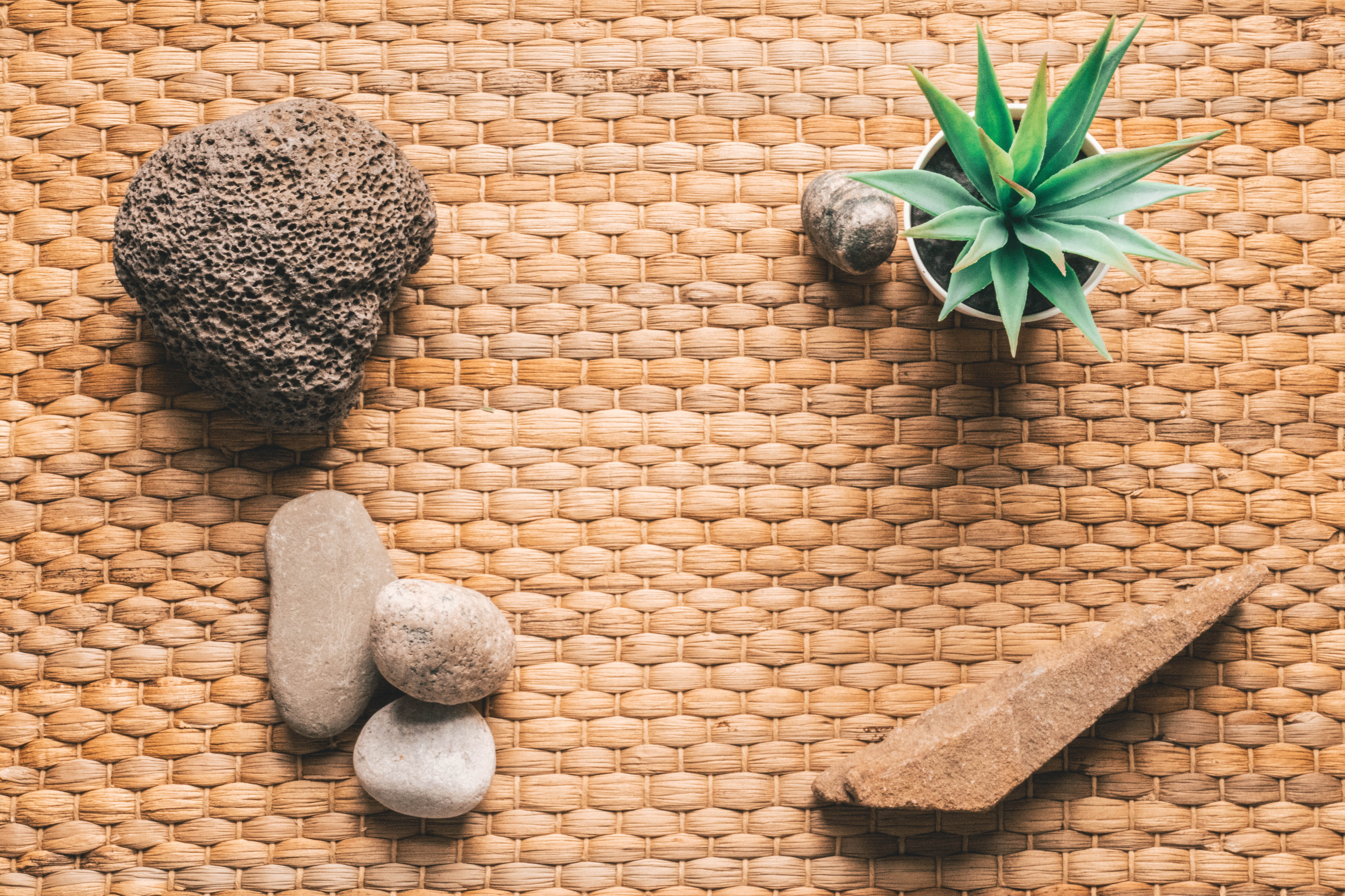 green, representation, doormat, leaf, roof, flatlay, green color, toy, succulent plant, vera, aloe, no people, solid, nature, teddy bear, mat, plant part, HD Wallpaper